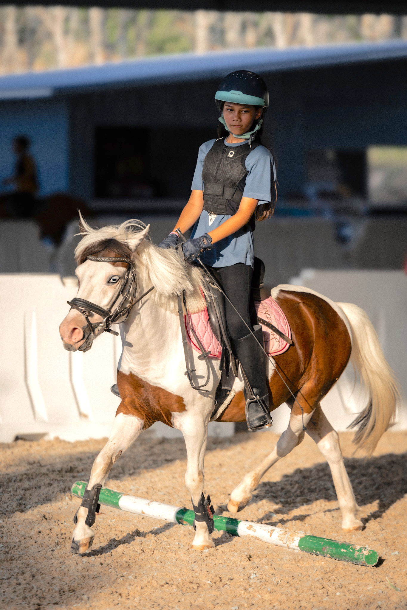 Niran Equestrian Center at Niran Farm