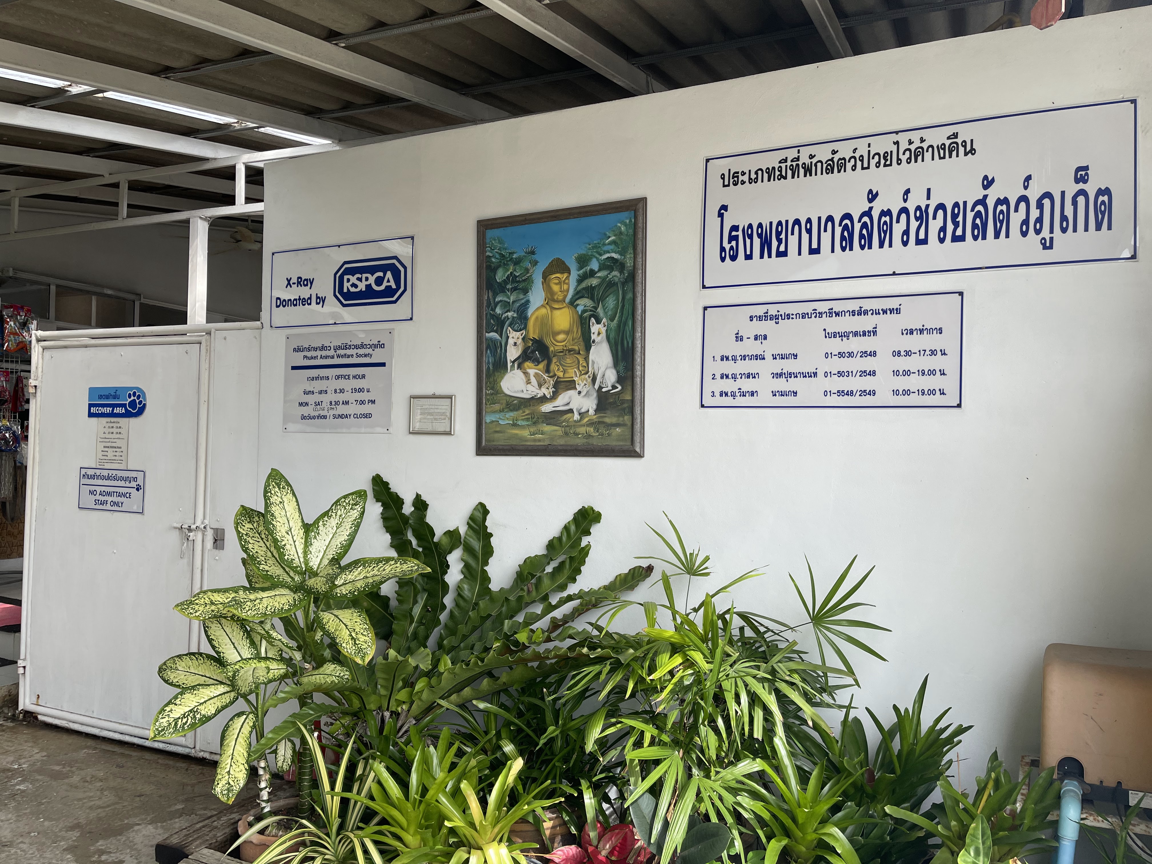 PAWS Vet Clinic