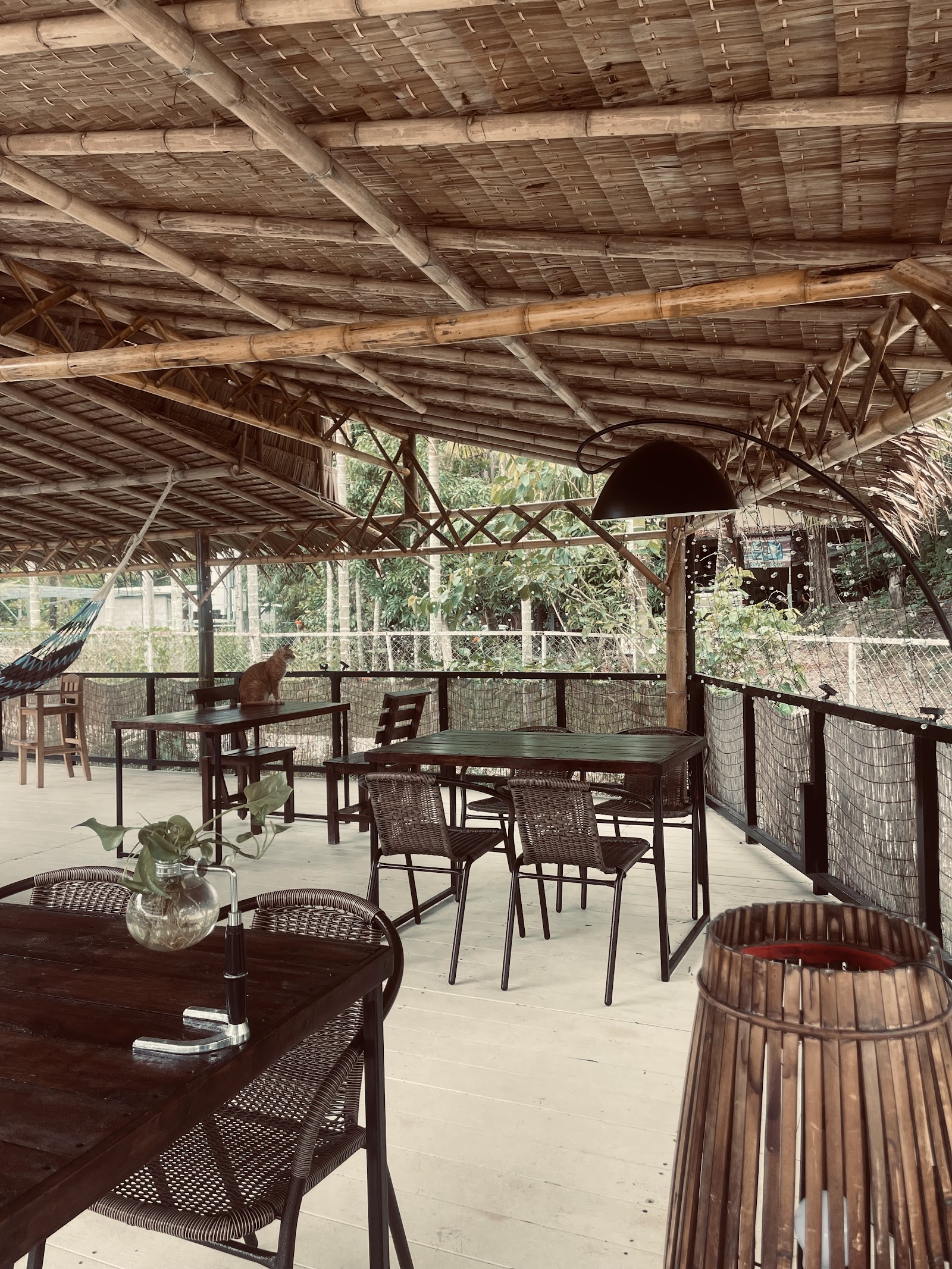 Phuket Dog Park