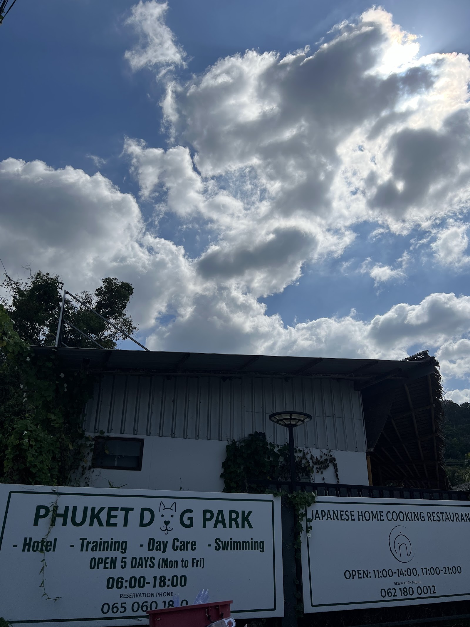 Phuket Dog Park