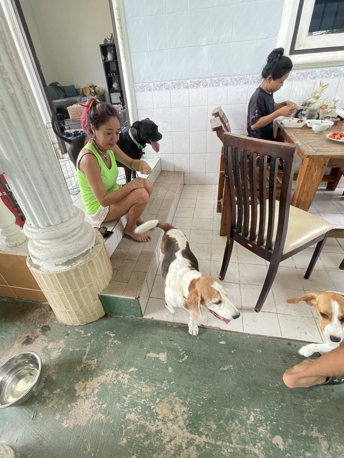 Phuket Dog Resort