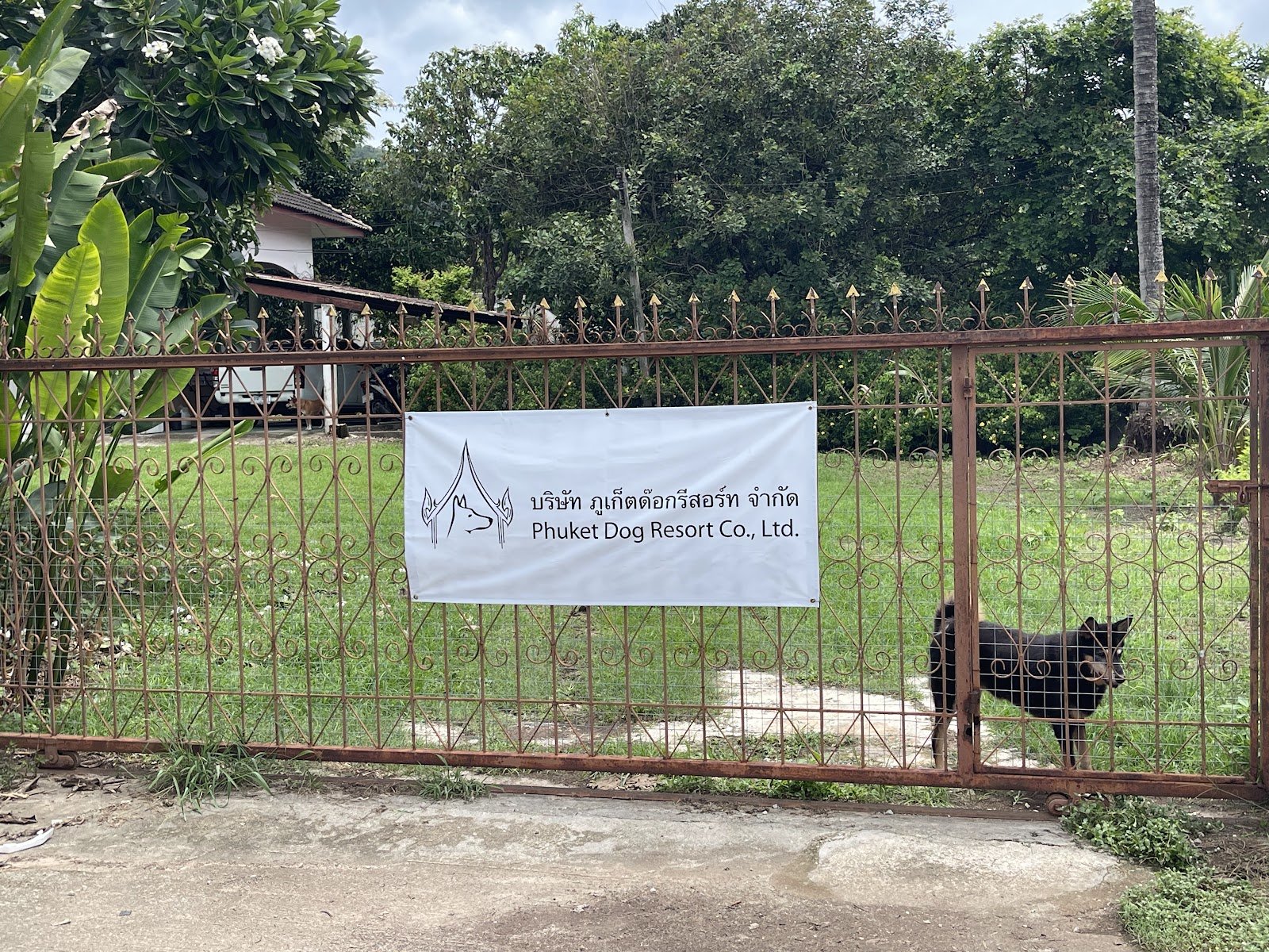 Phuket Dog Resort