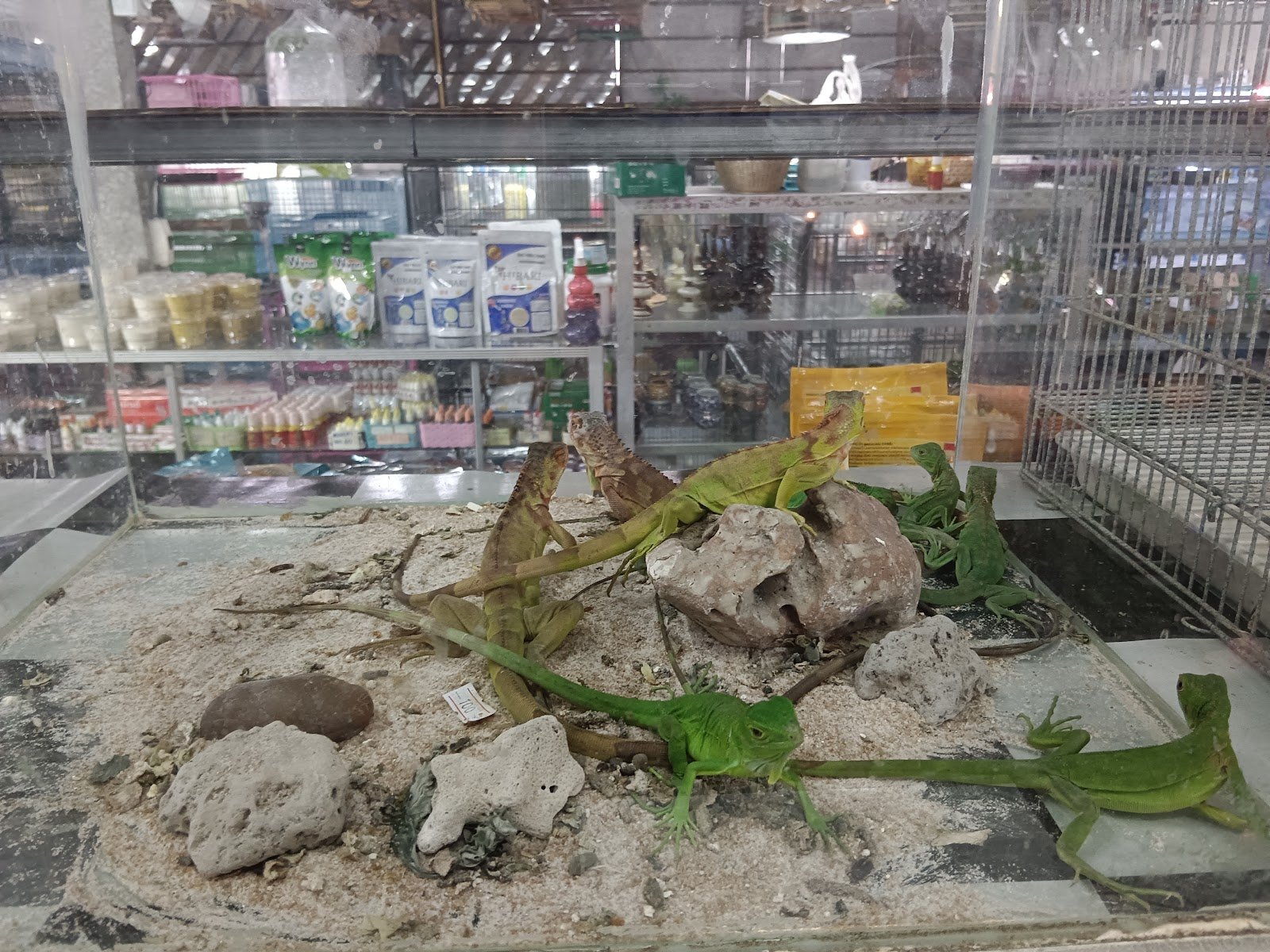 Phuket Farm & Aquarium