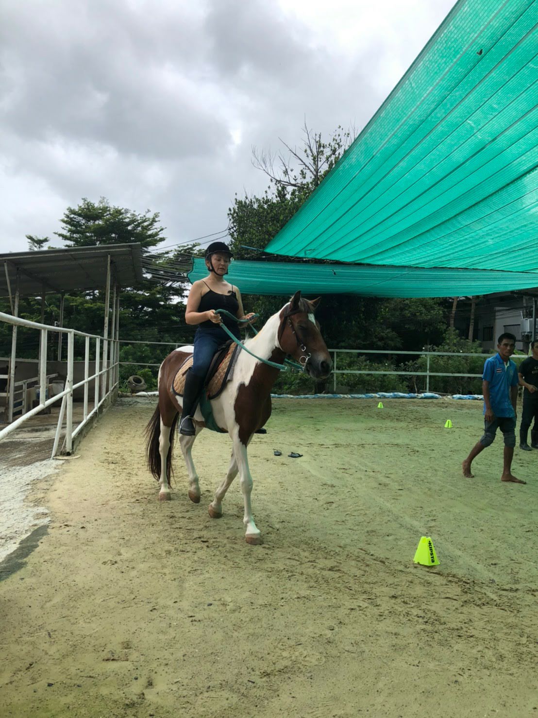 Phuket Horse Riding