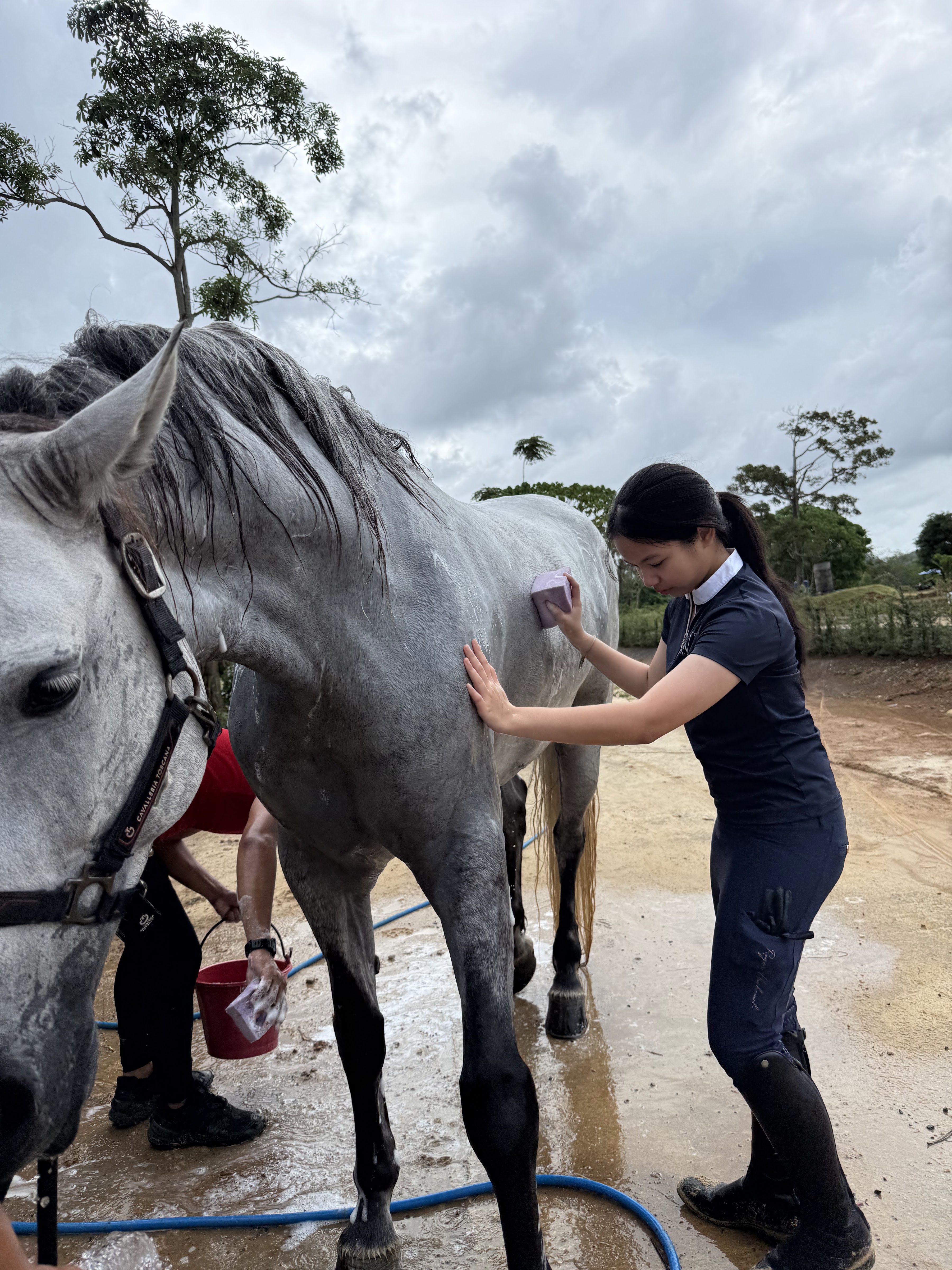 Southern Crown Equestrian Club Phuket