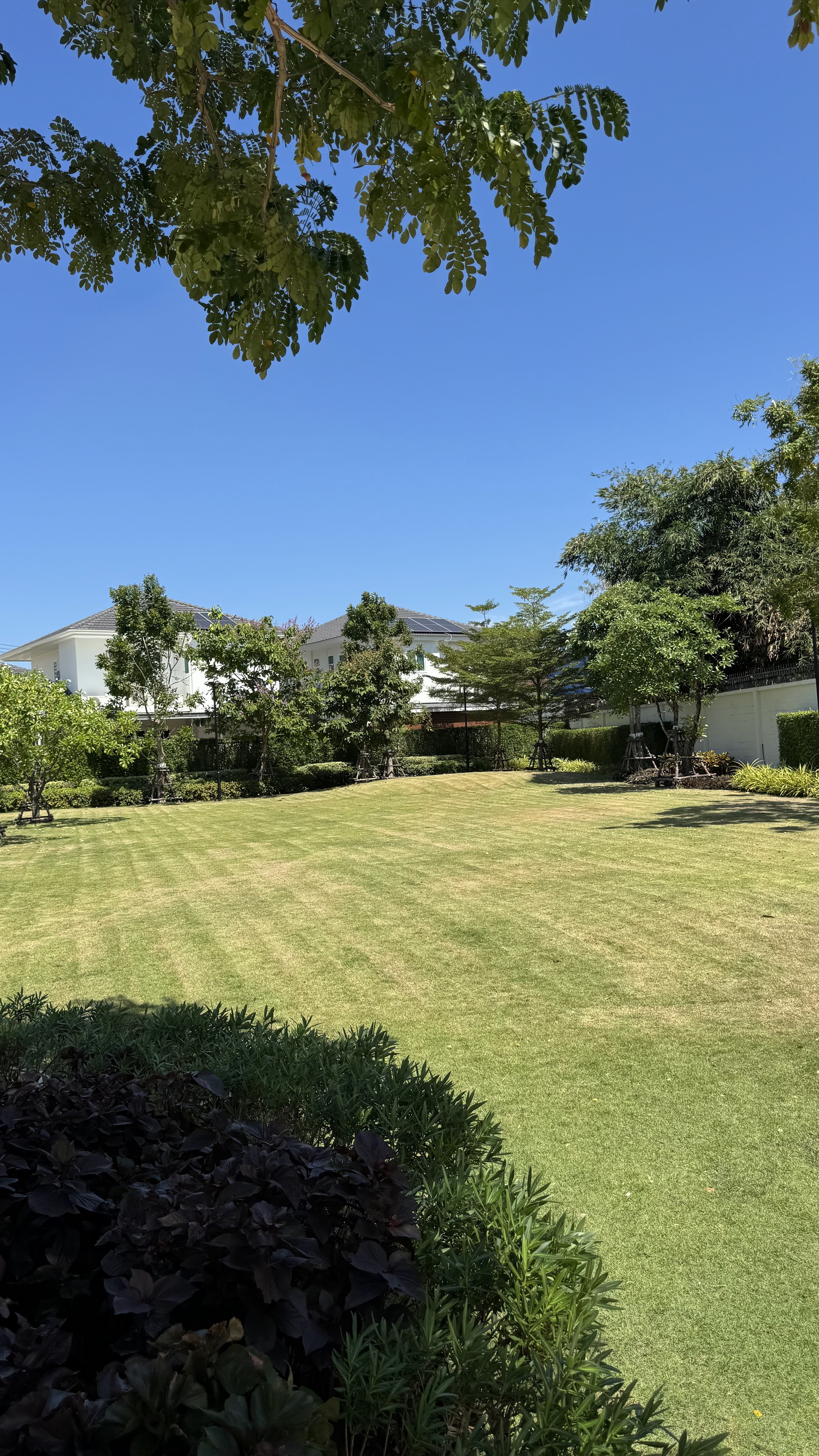 Supalai Bella Vichit Phuket