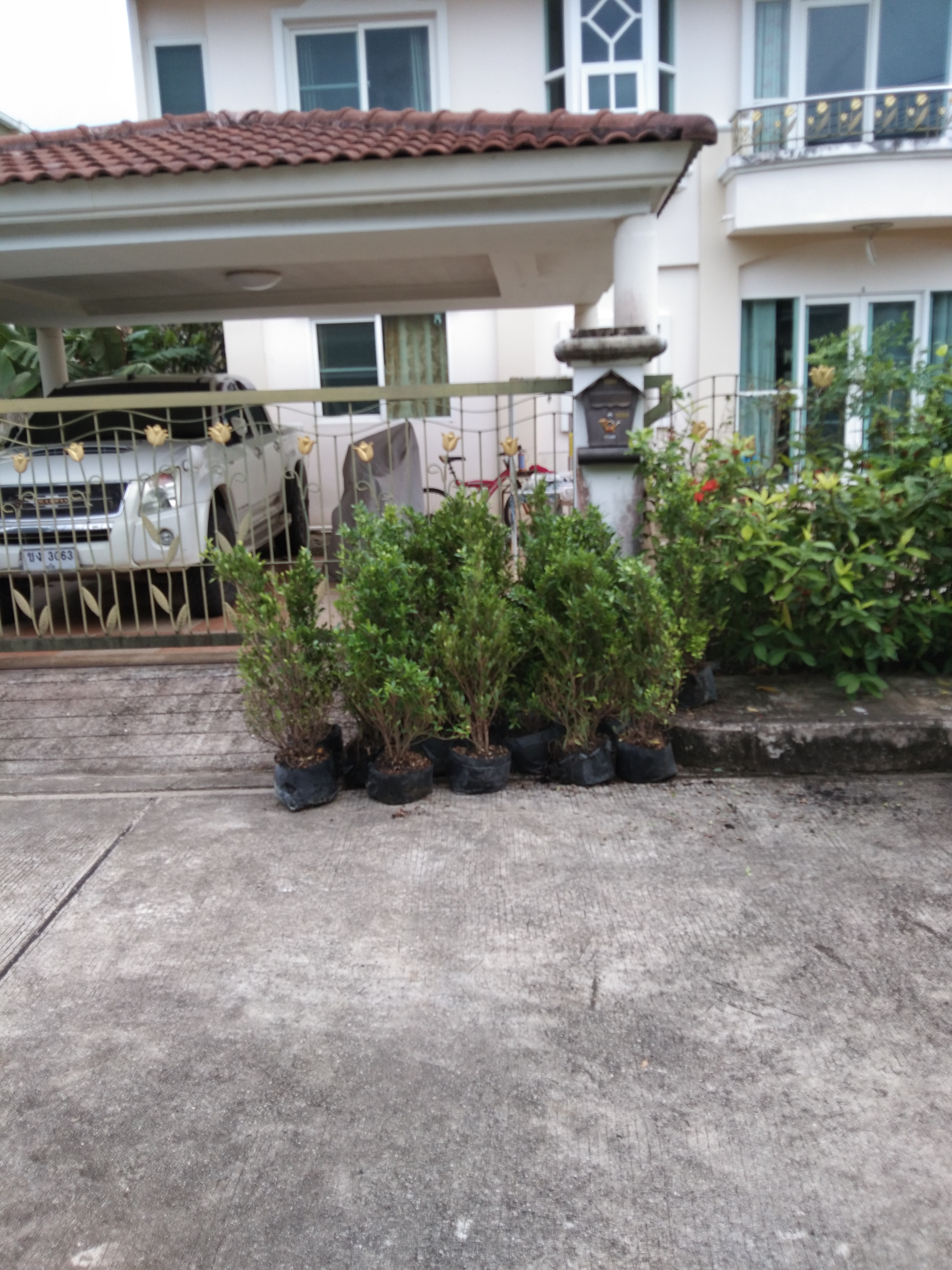 Supalai Garden Ville Phuket