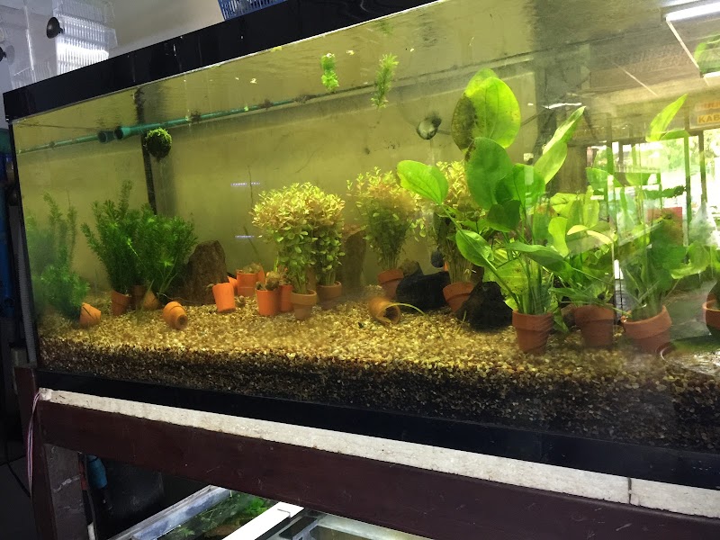 Kabinburi Aquarium