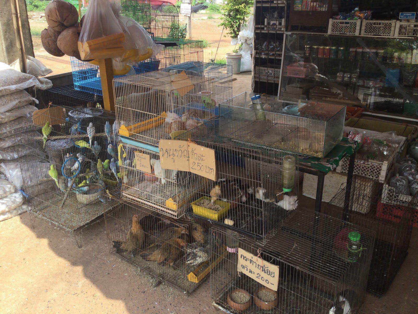 Pet & Aquatic
