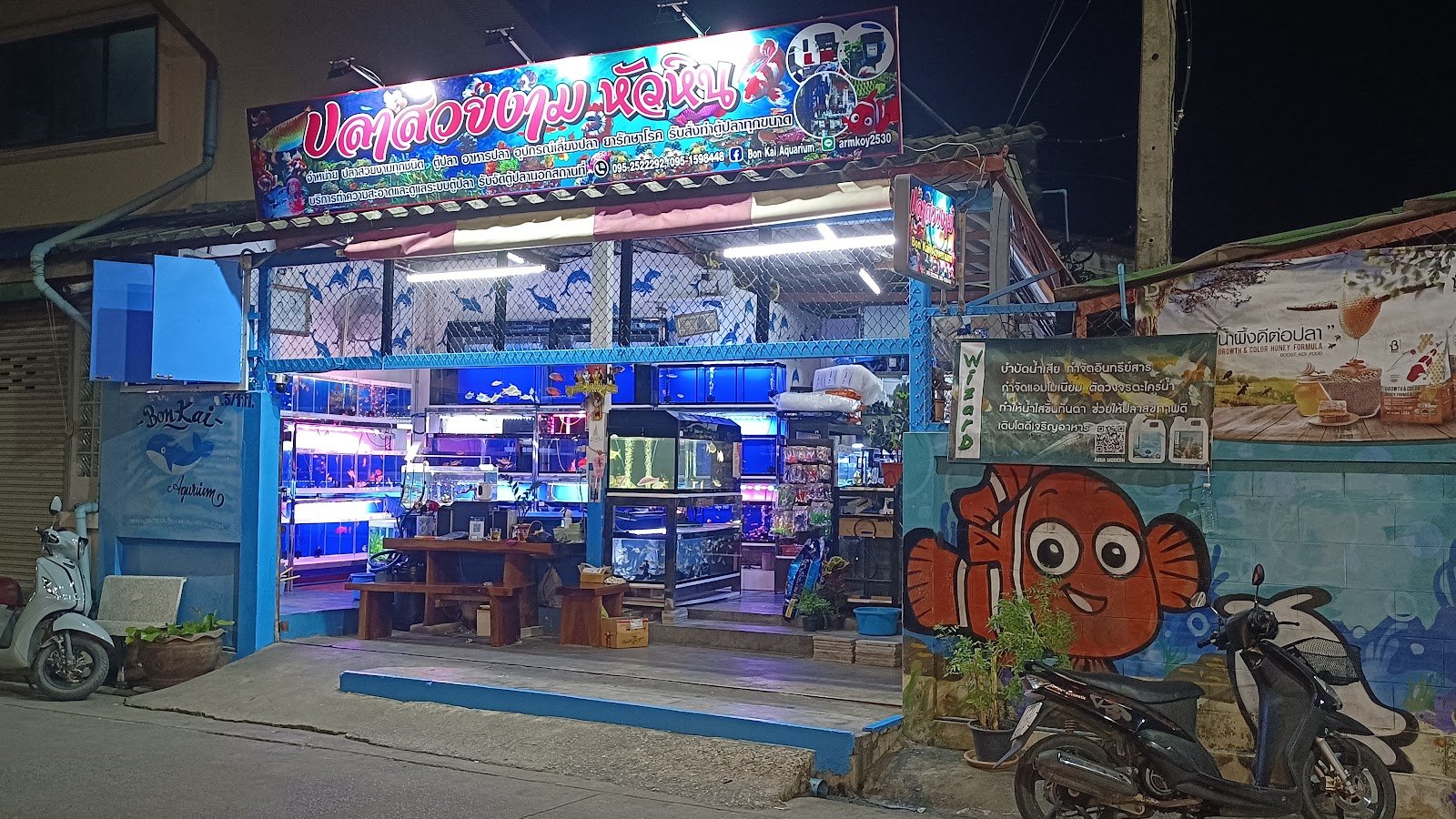 Bon Kai Aquarium