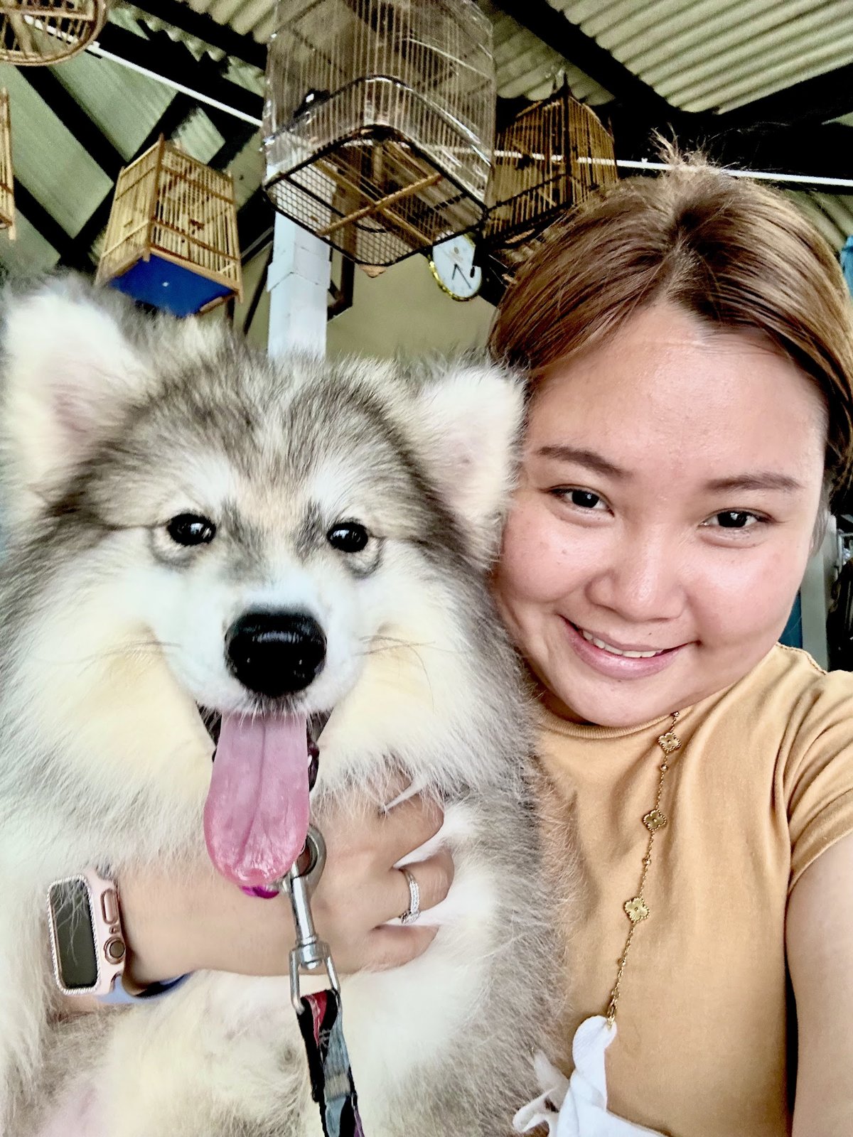 Pet Shop