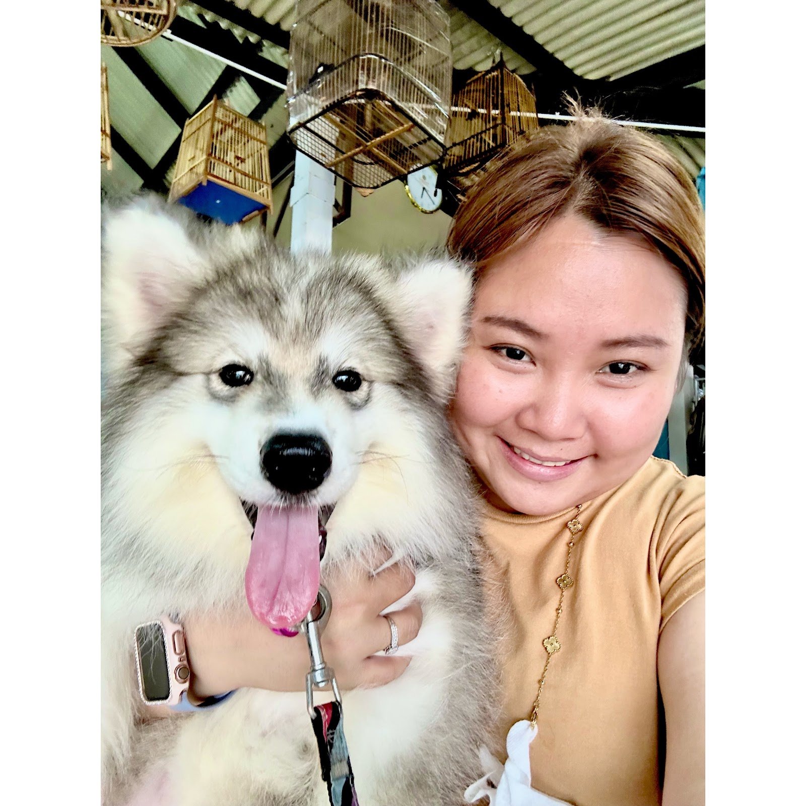 Pet Shop