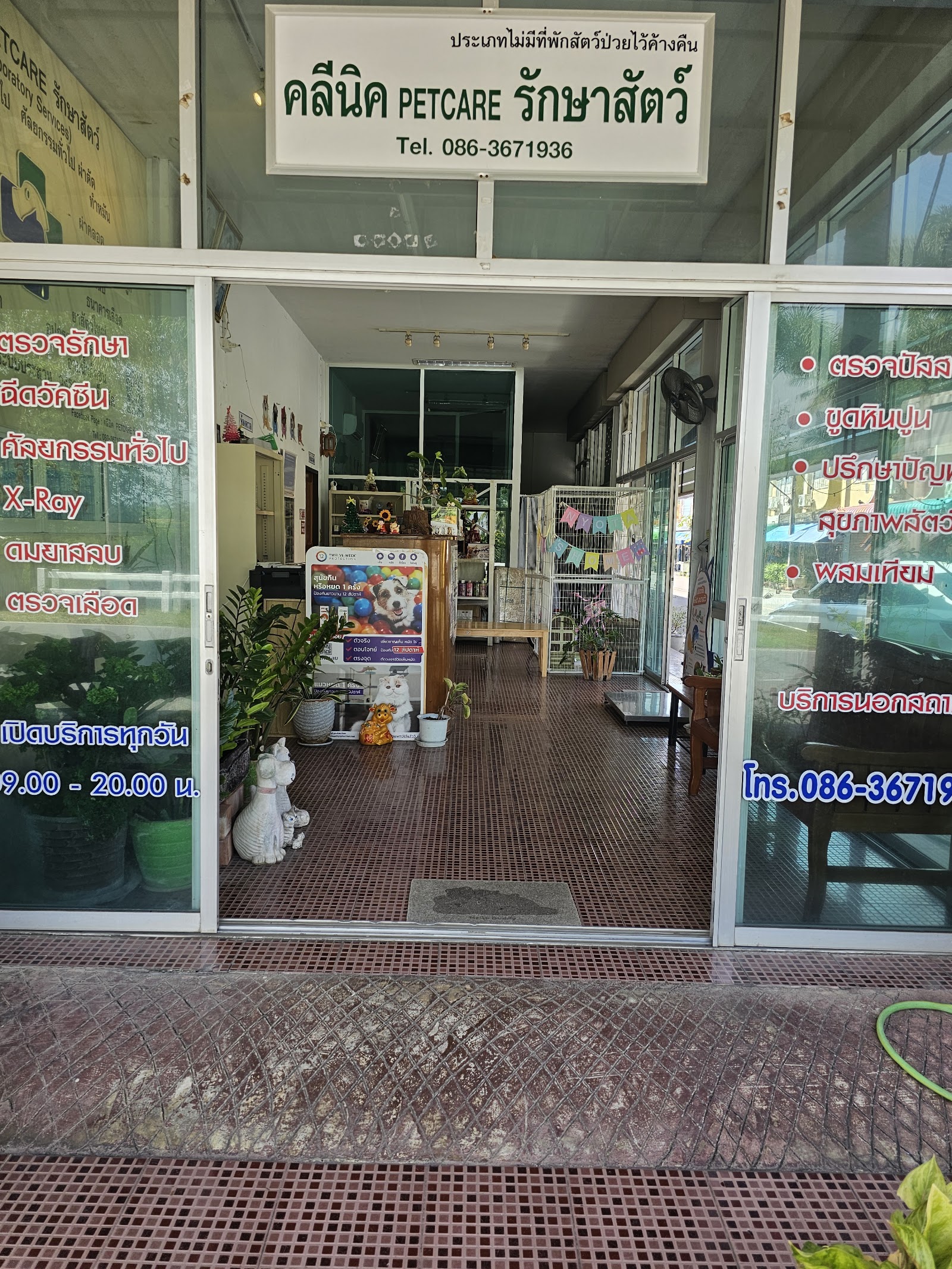 Petcare Veterinary Clinic