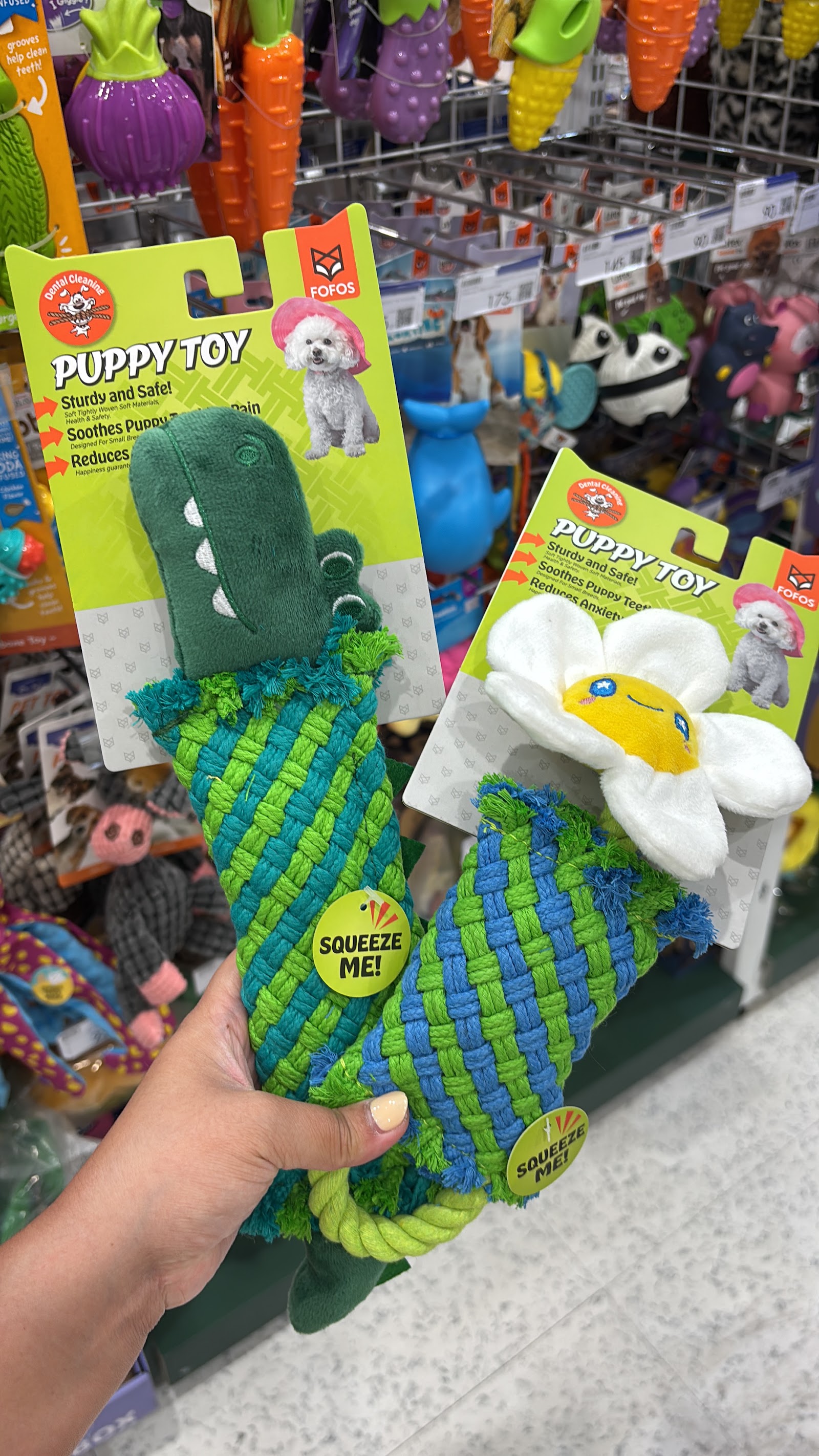 PETClub Homepro