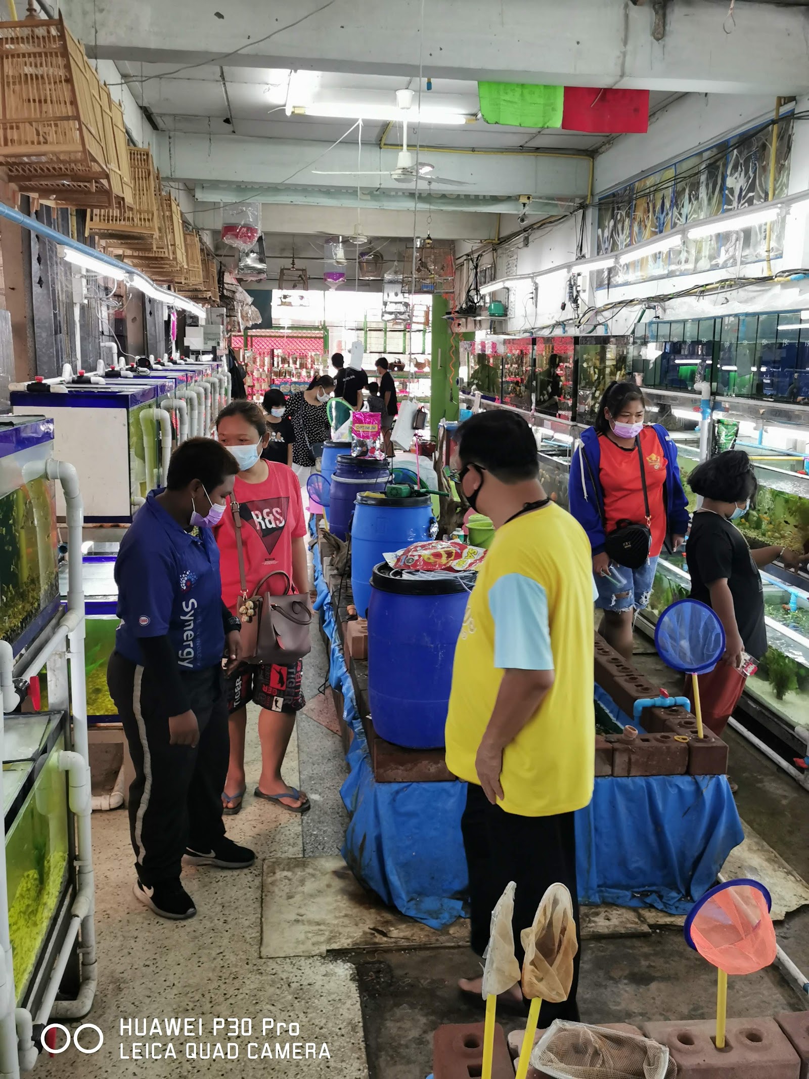 Cool Aquarium & Pet Shop