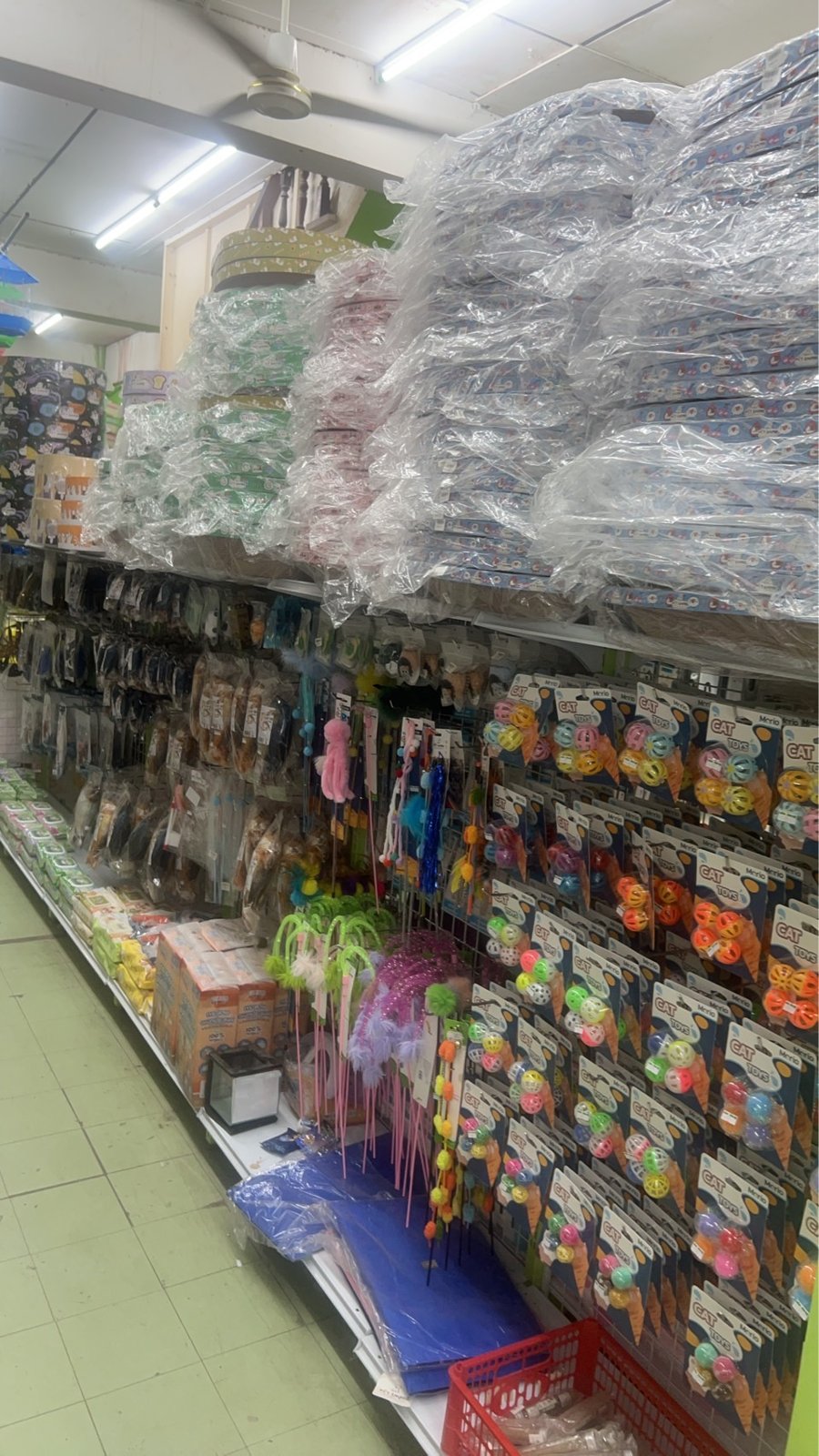 Cool Aquarium & Pet Shop