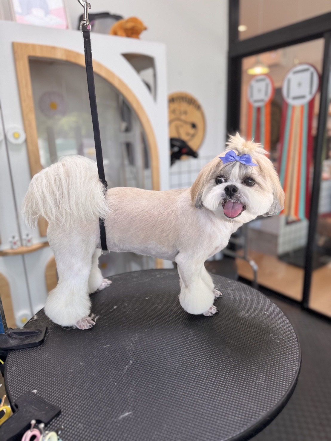 Pettopia Grooming & Hotel