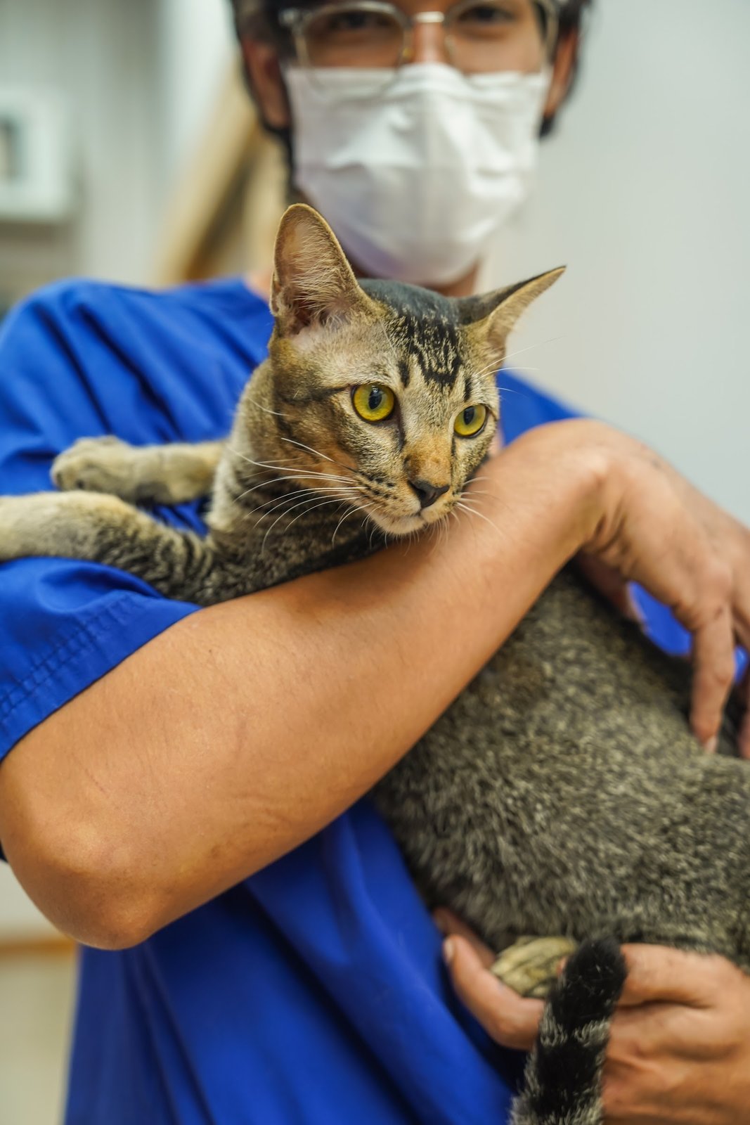 Phimphun Rak Sat Veterinary Hospital