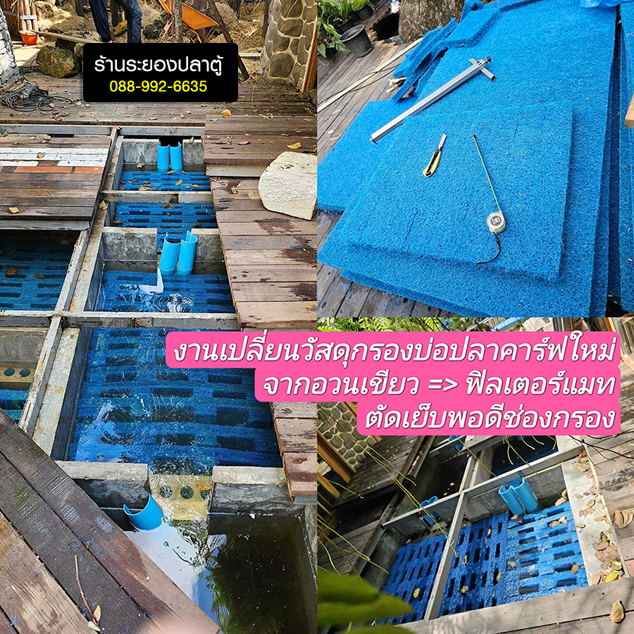 Rayong Pet Mart Fish Tank