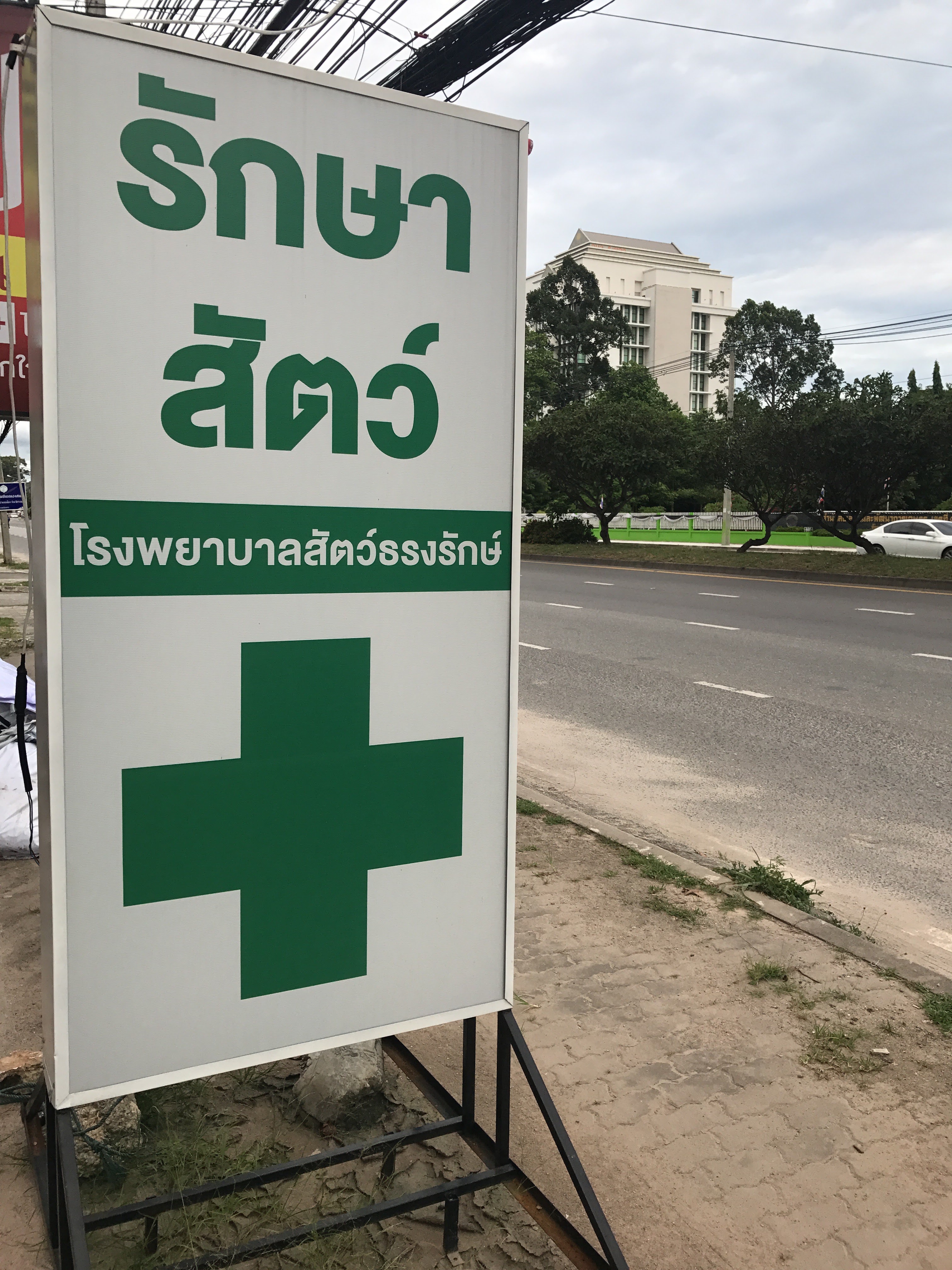 Tarongrak Animal Hospital