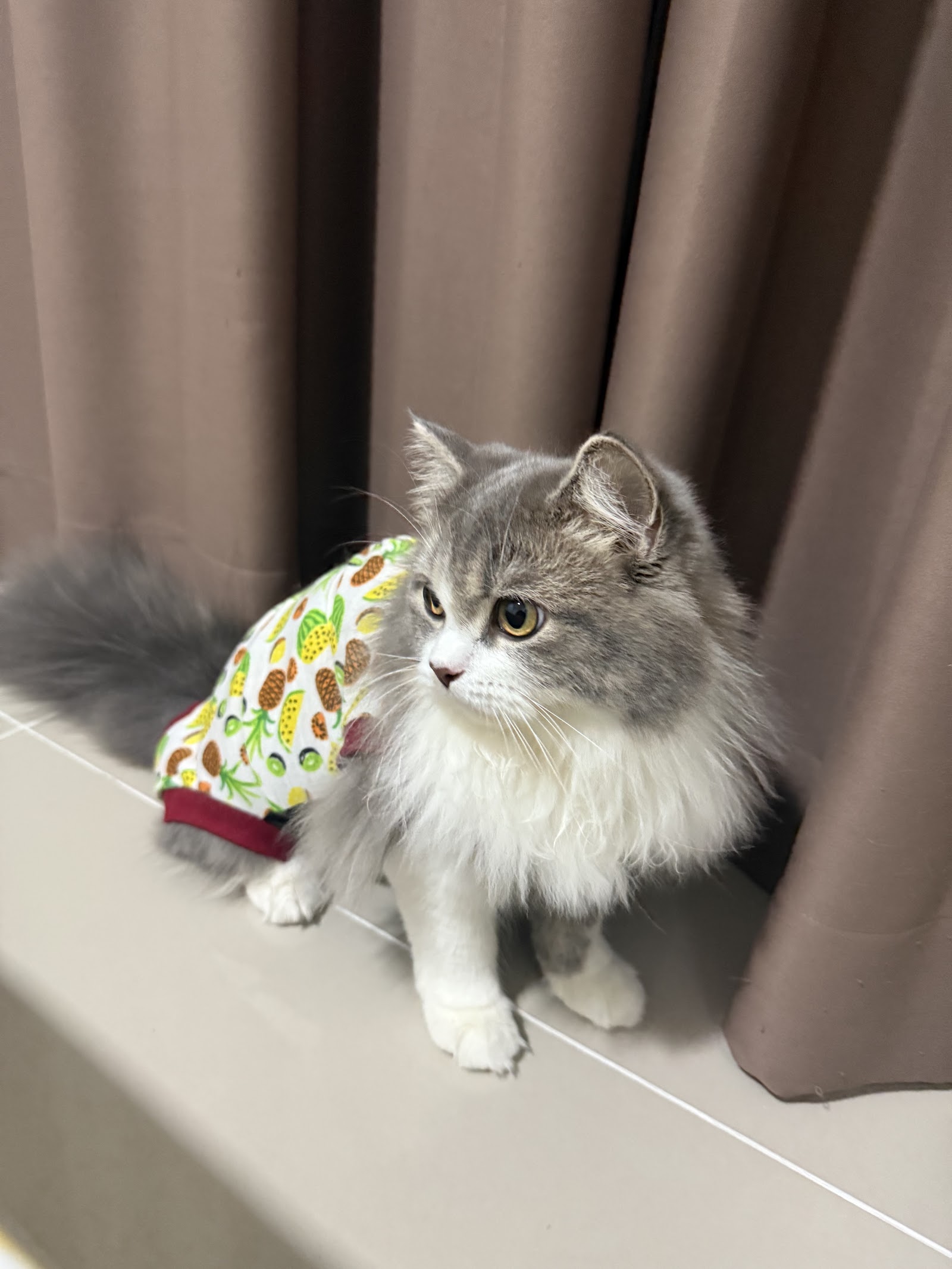Udomsup Animal Treatment