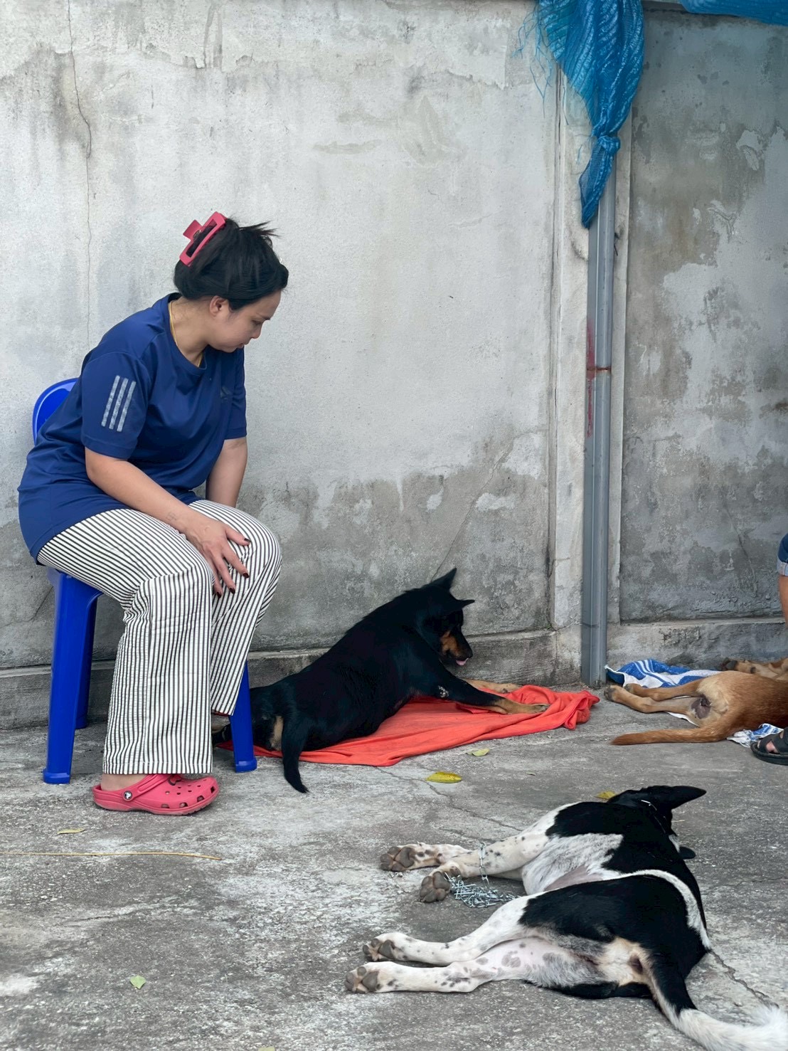 VetVan Clinic Map Kha (2)