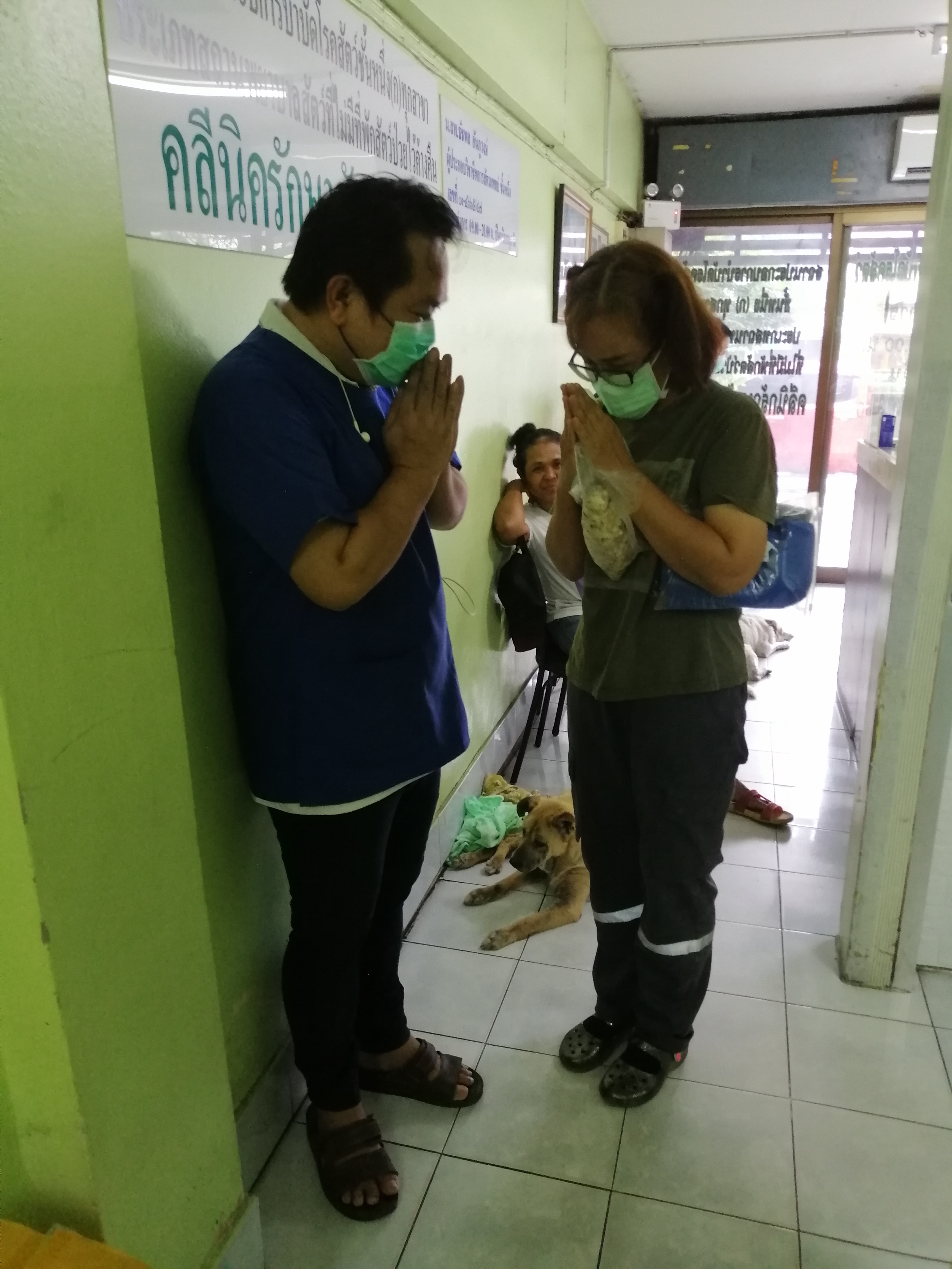 Bang Kru Animal Treatment Clinic