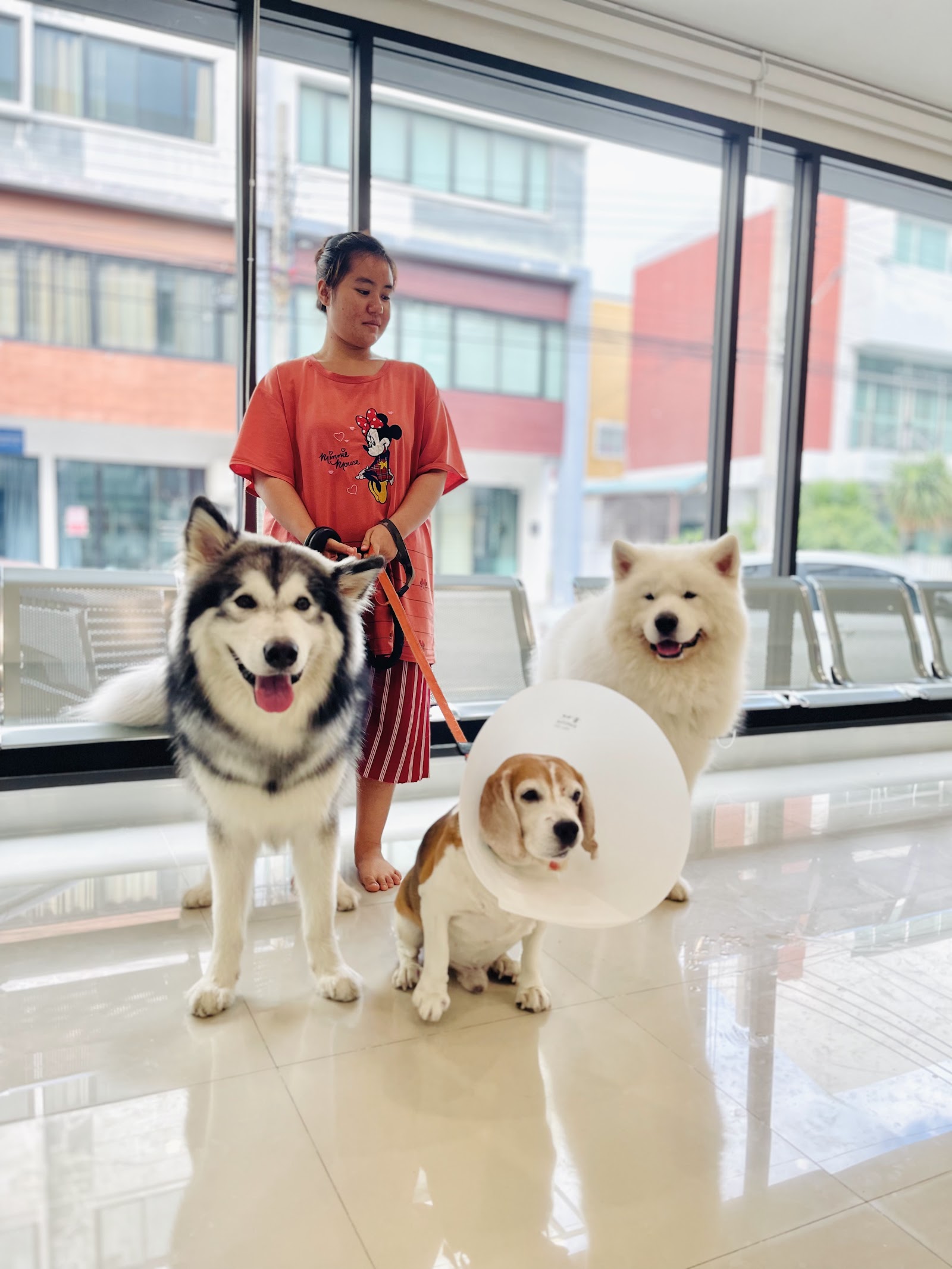 Akira animal Hospital