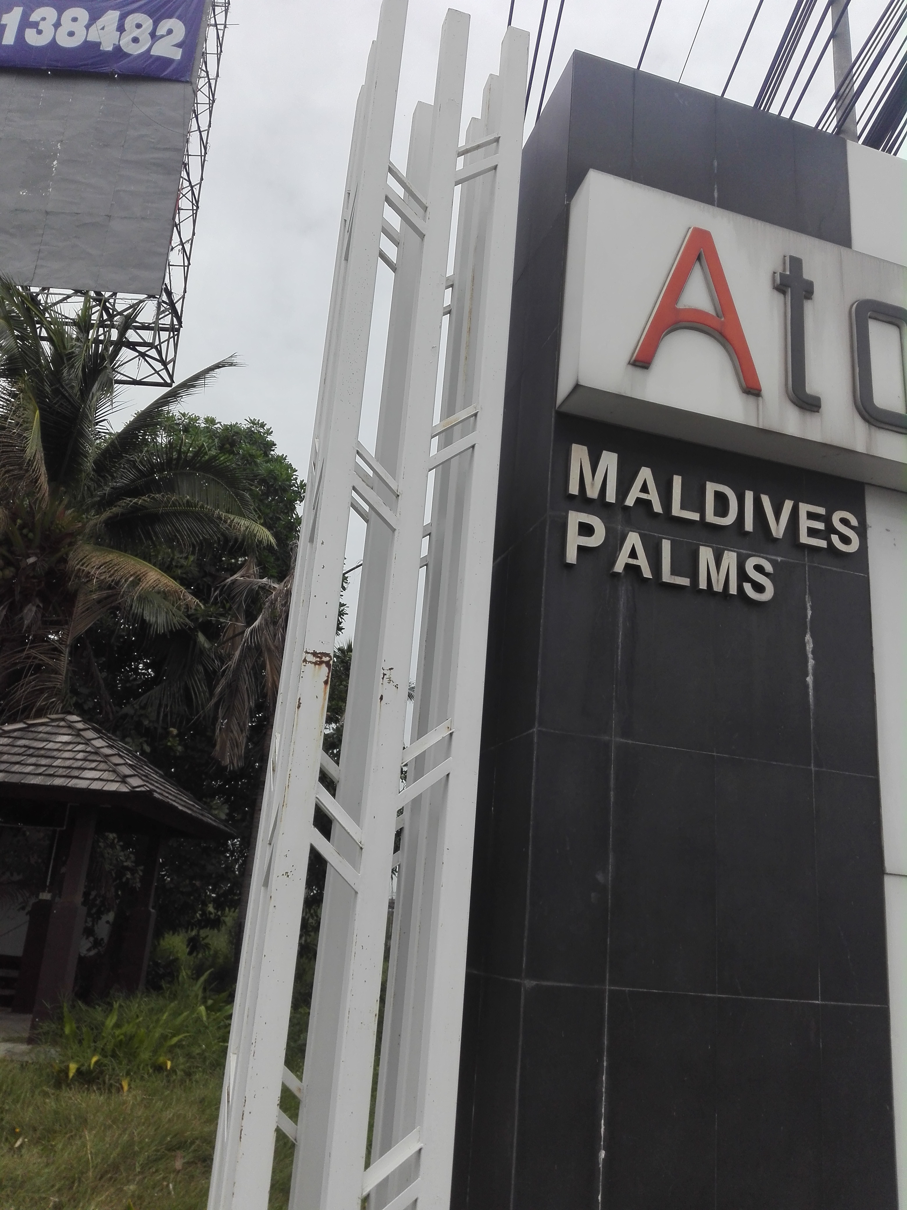 Atoll Maldives Palms