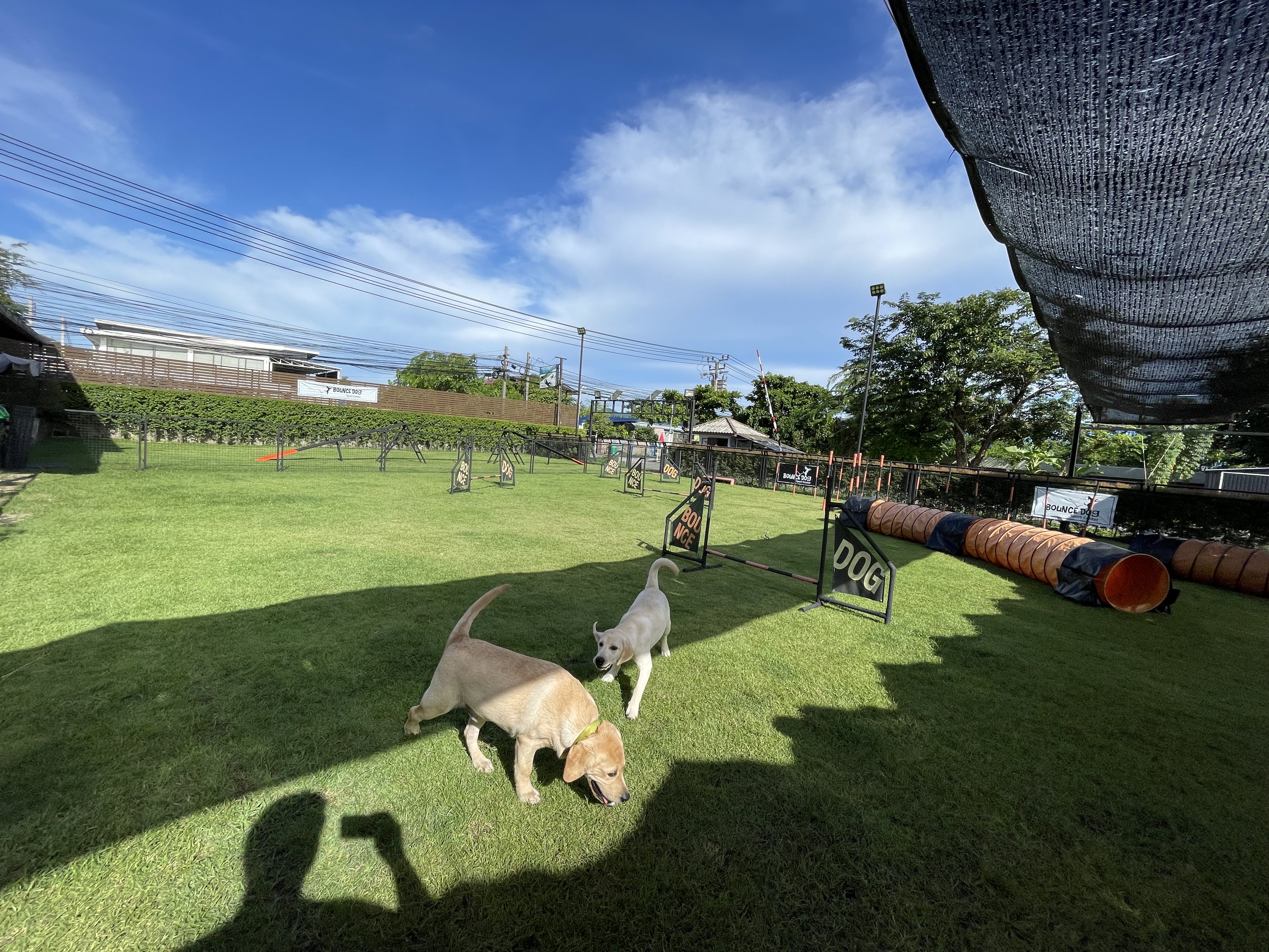BOUNCE DOG SPORT CENTER