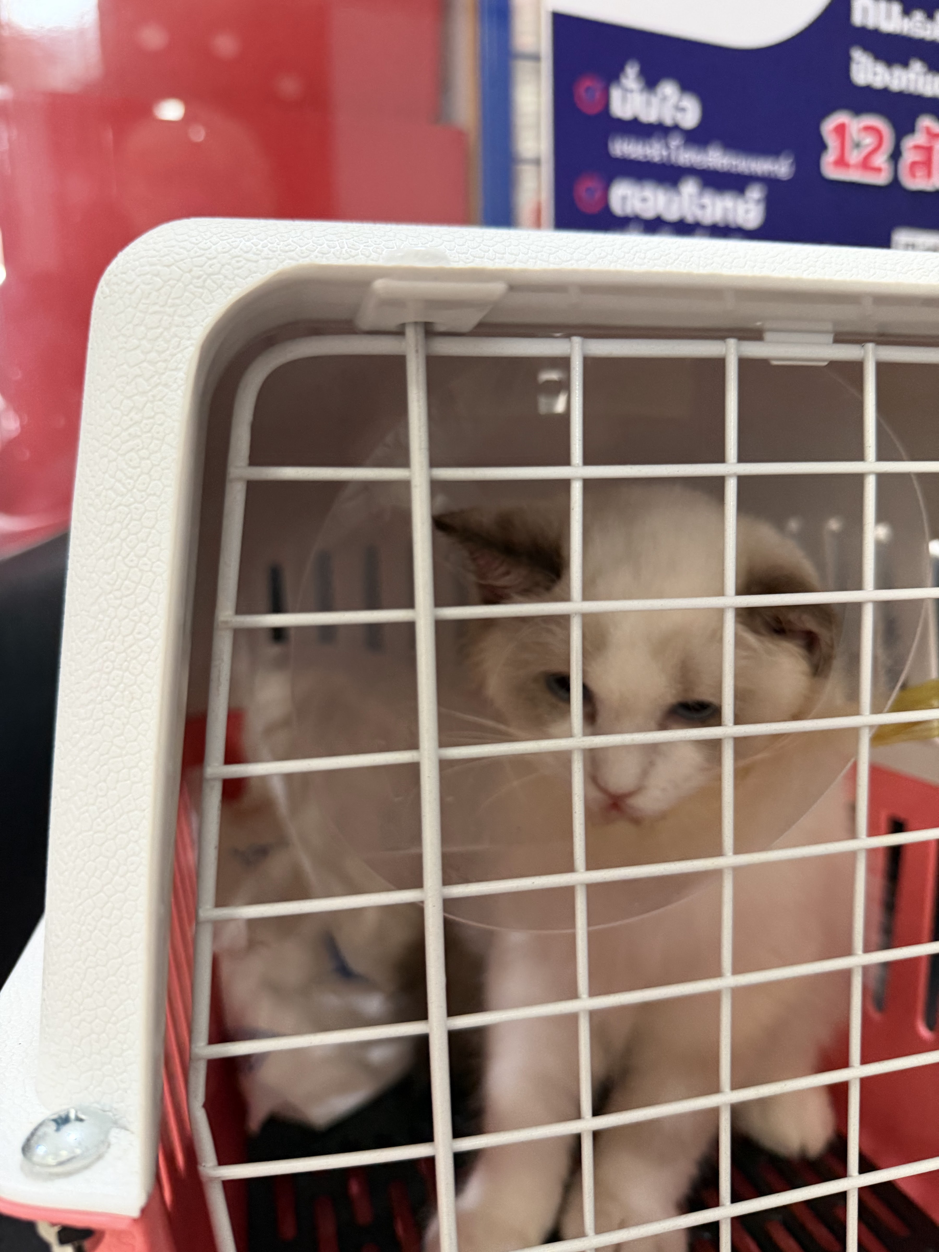 Dr. Ploy Rak Animal Clinic