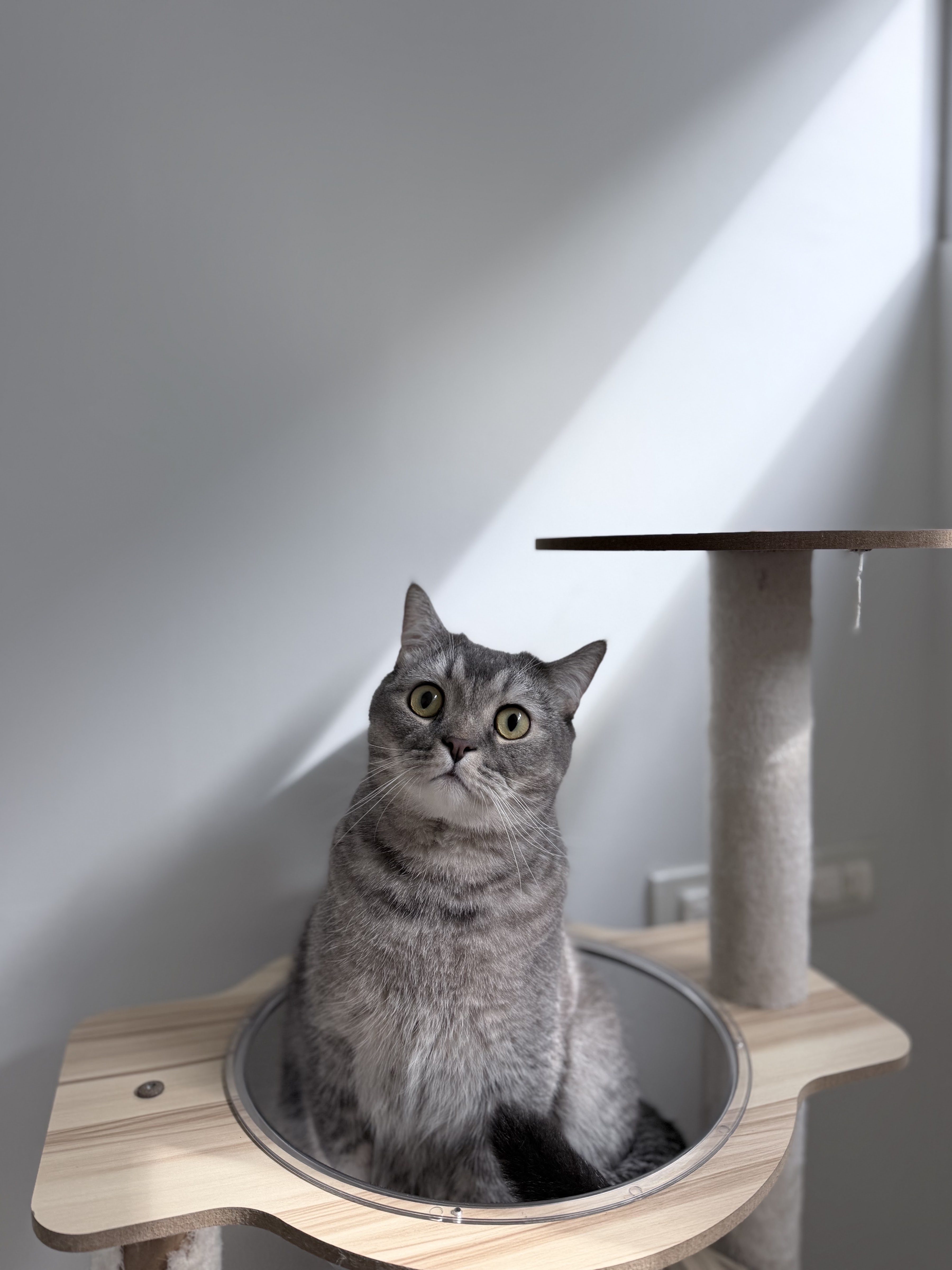 Happy Smile Pet Clinic