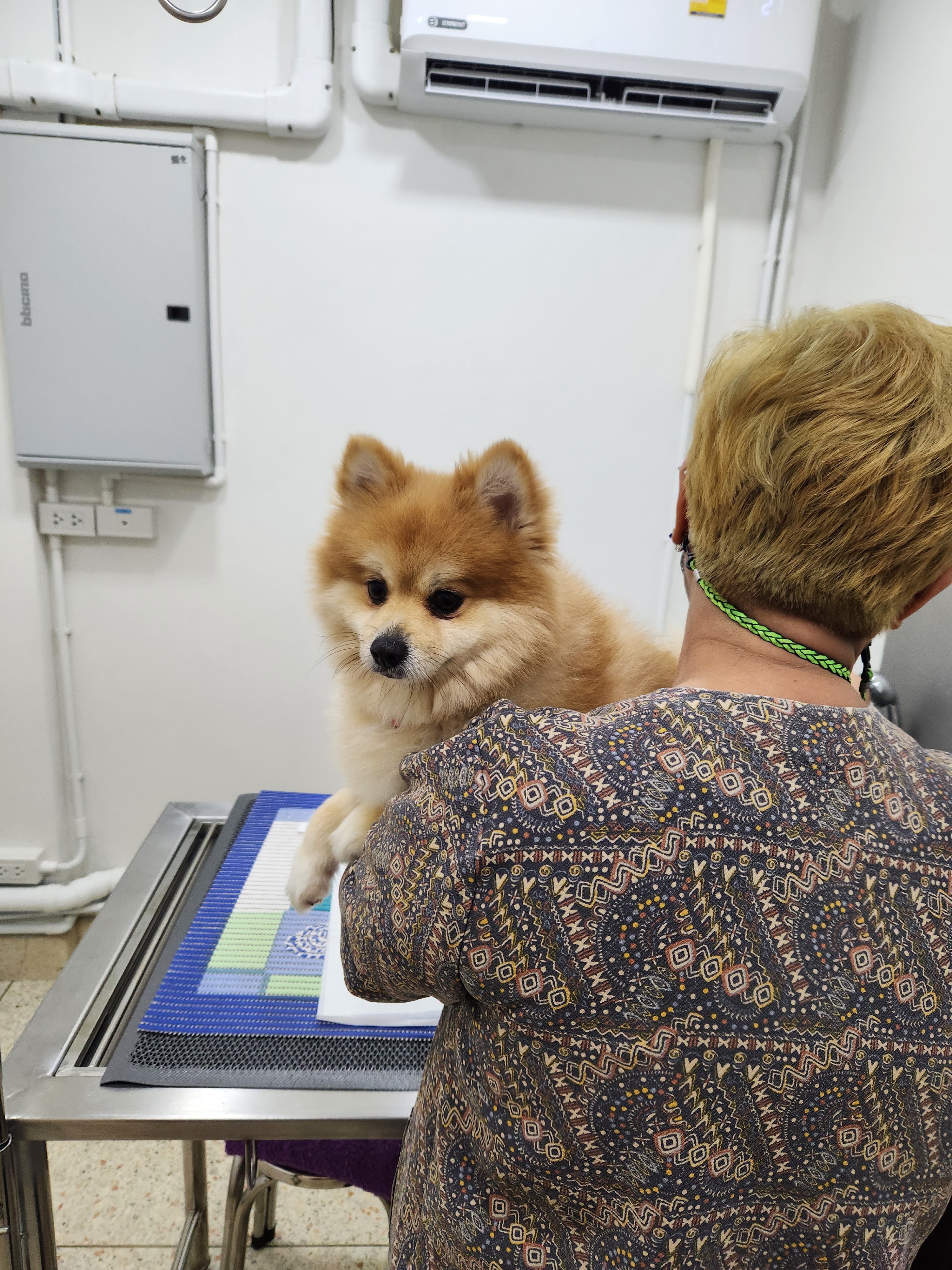 Iden pet hospital