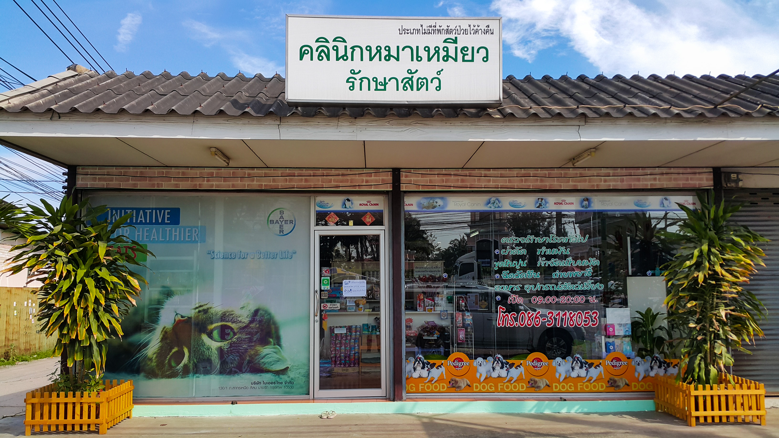 Mameaw Pet Clinic
