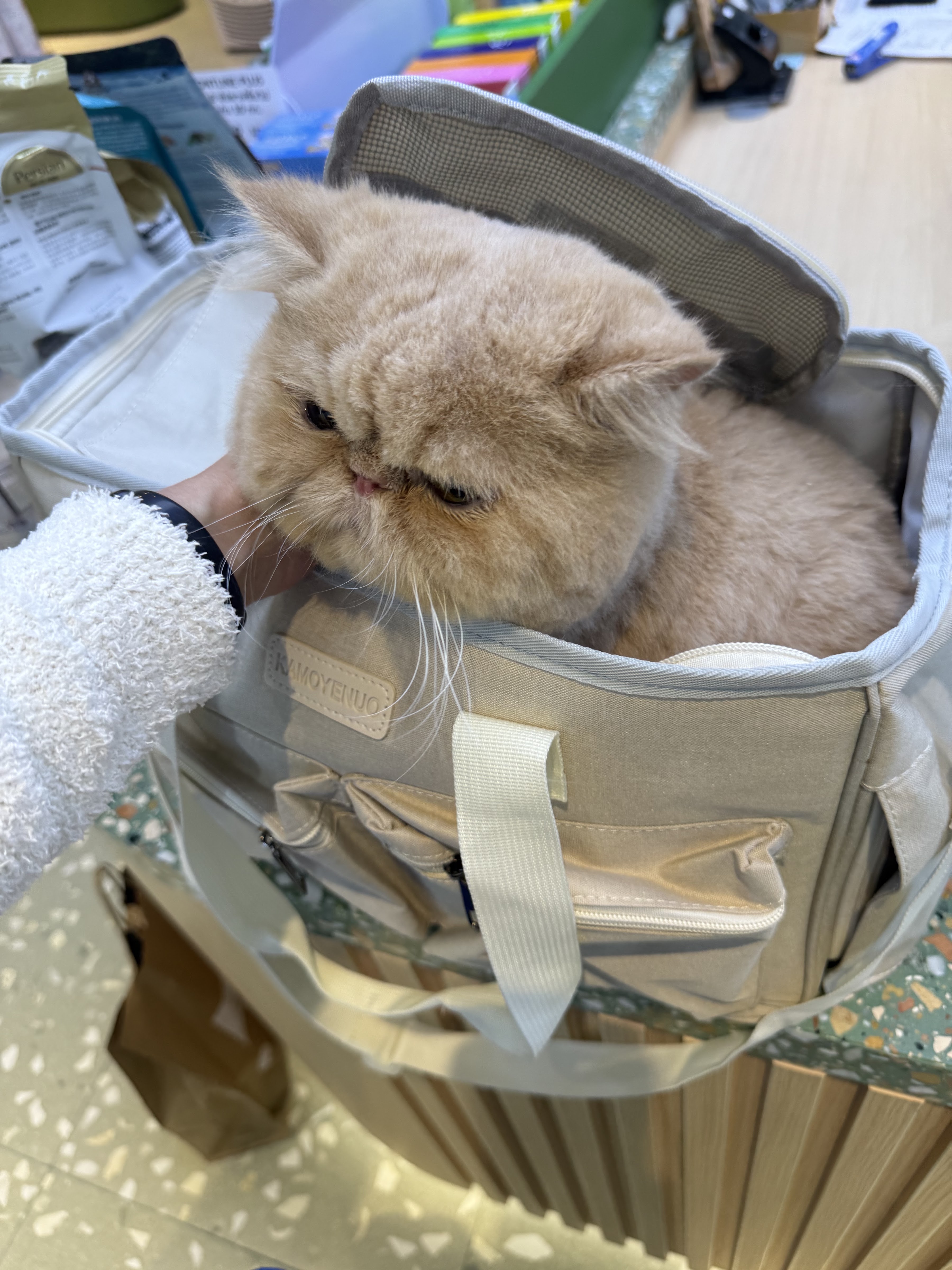 PETClub Mega
