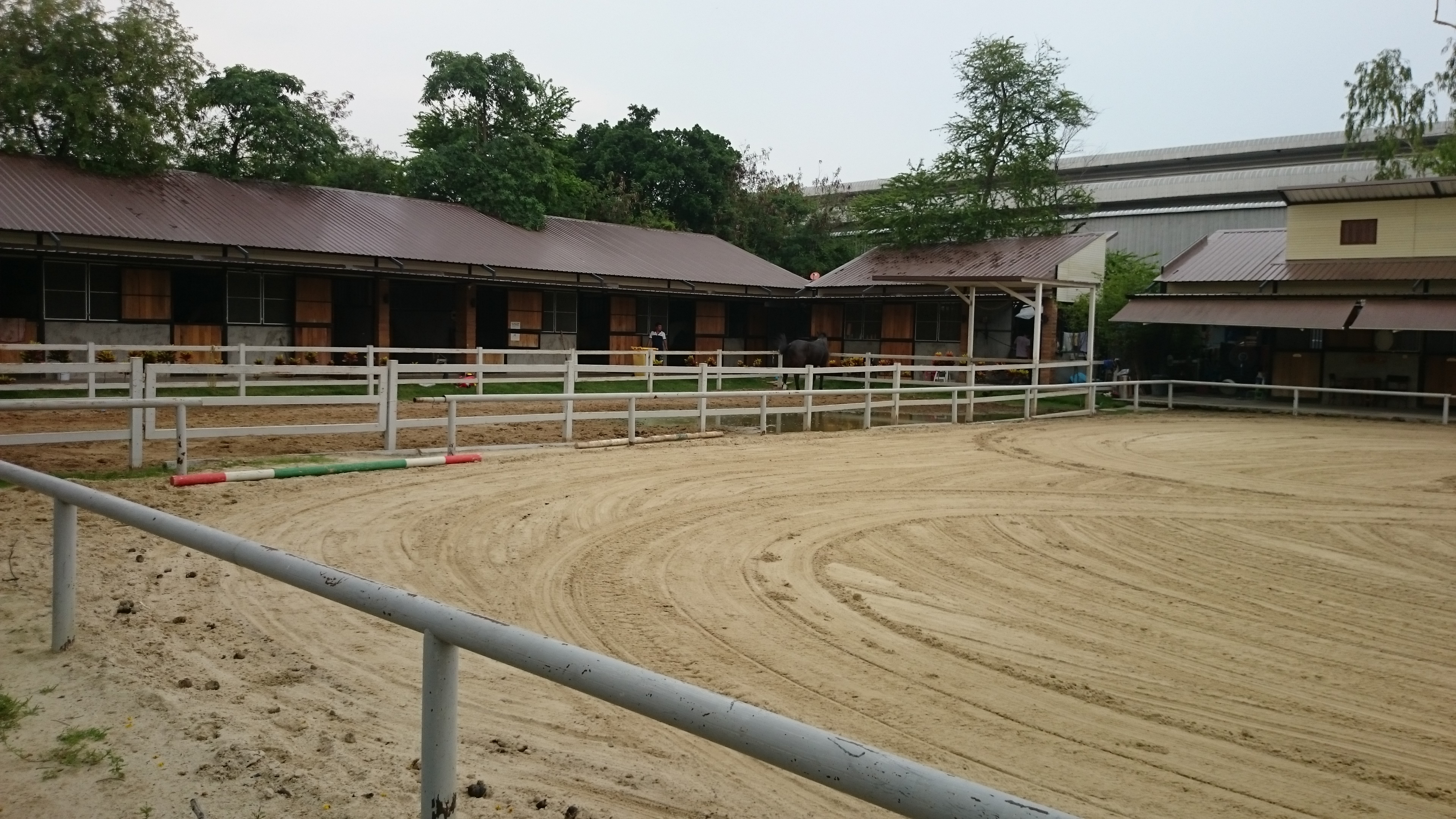Phoenix Riding Academy (NEW)