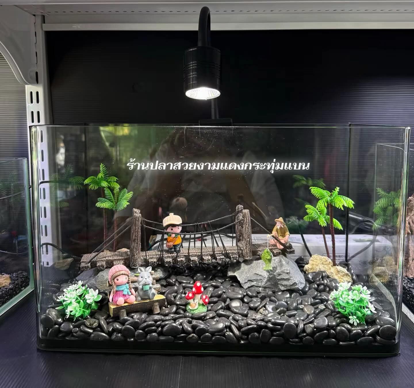 Beautiful fish shop in Krathum Ban