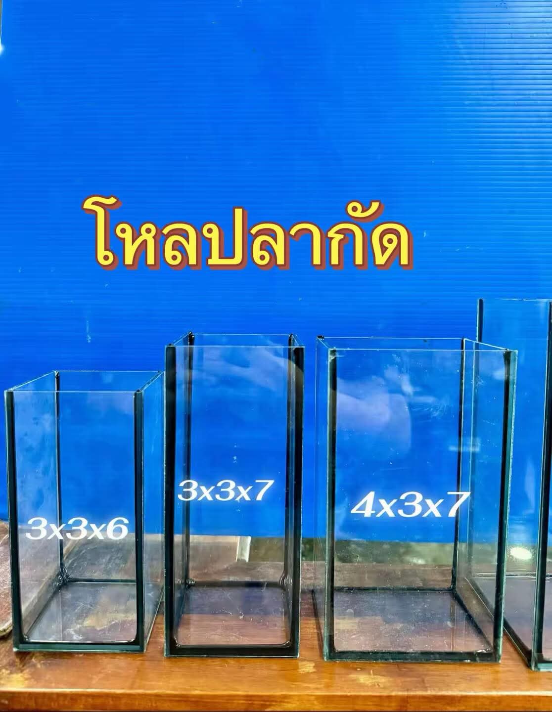 Beautiful fish shop in Krathum Ban