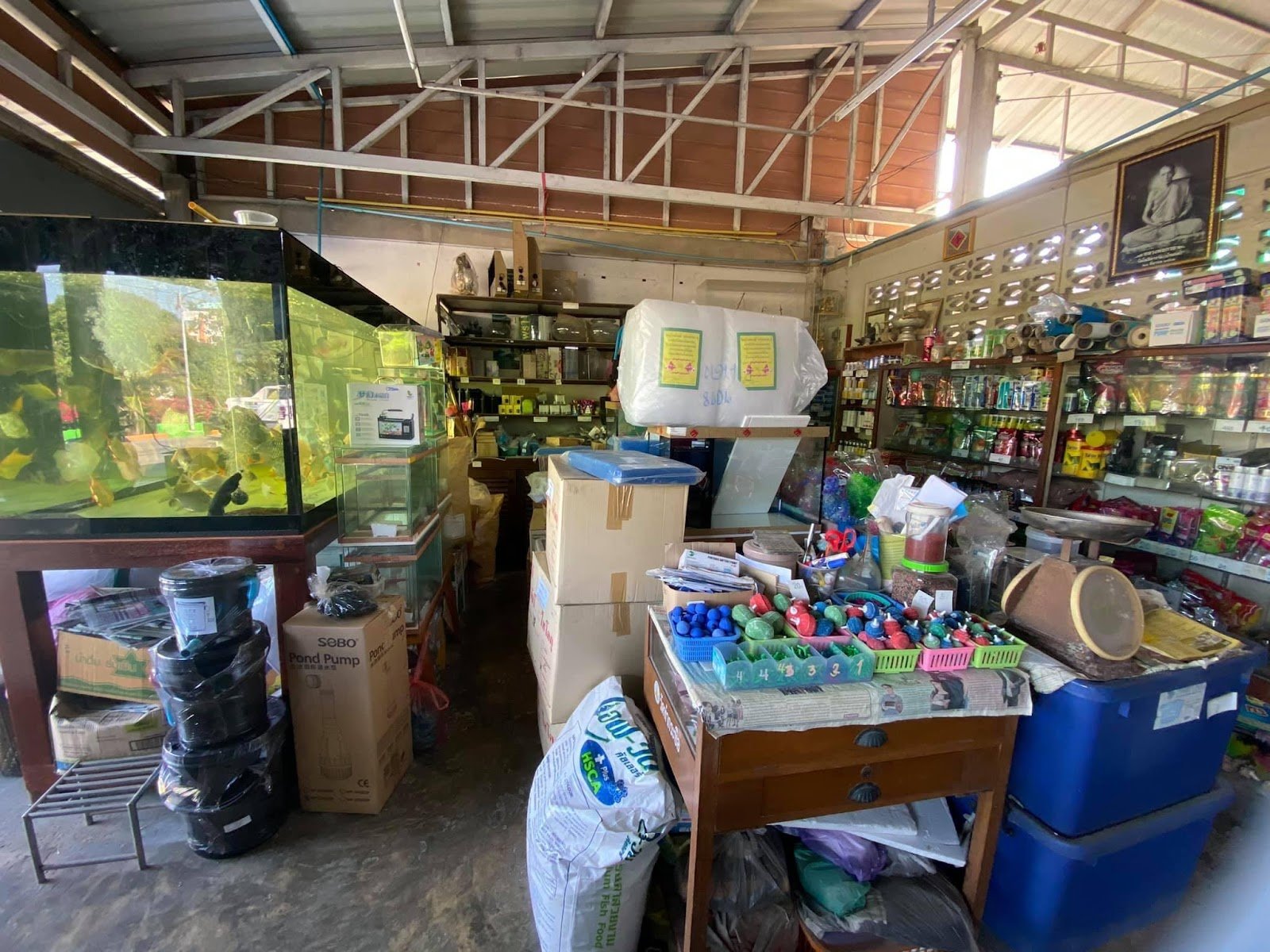 Beautiful fish shop in Krathum Ban