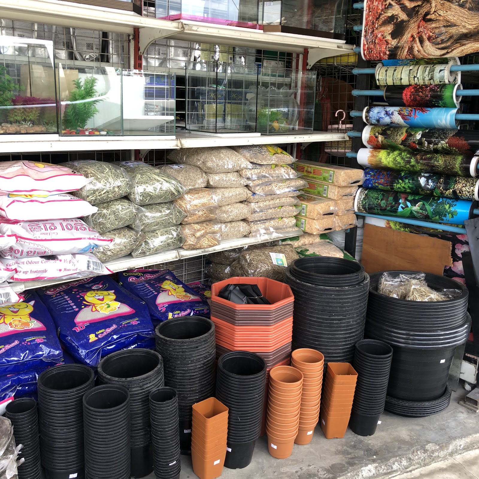 Beautiful Fish Shop Lotus Mahachai