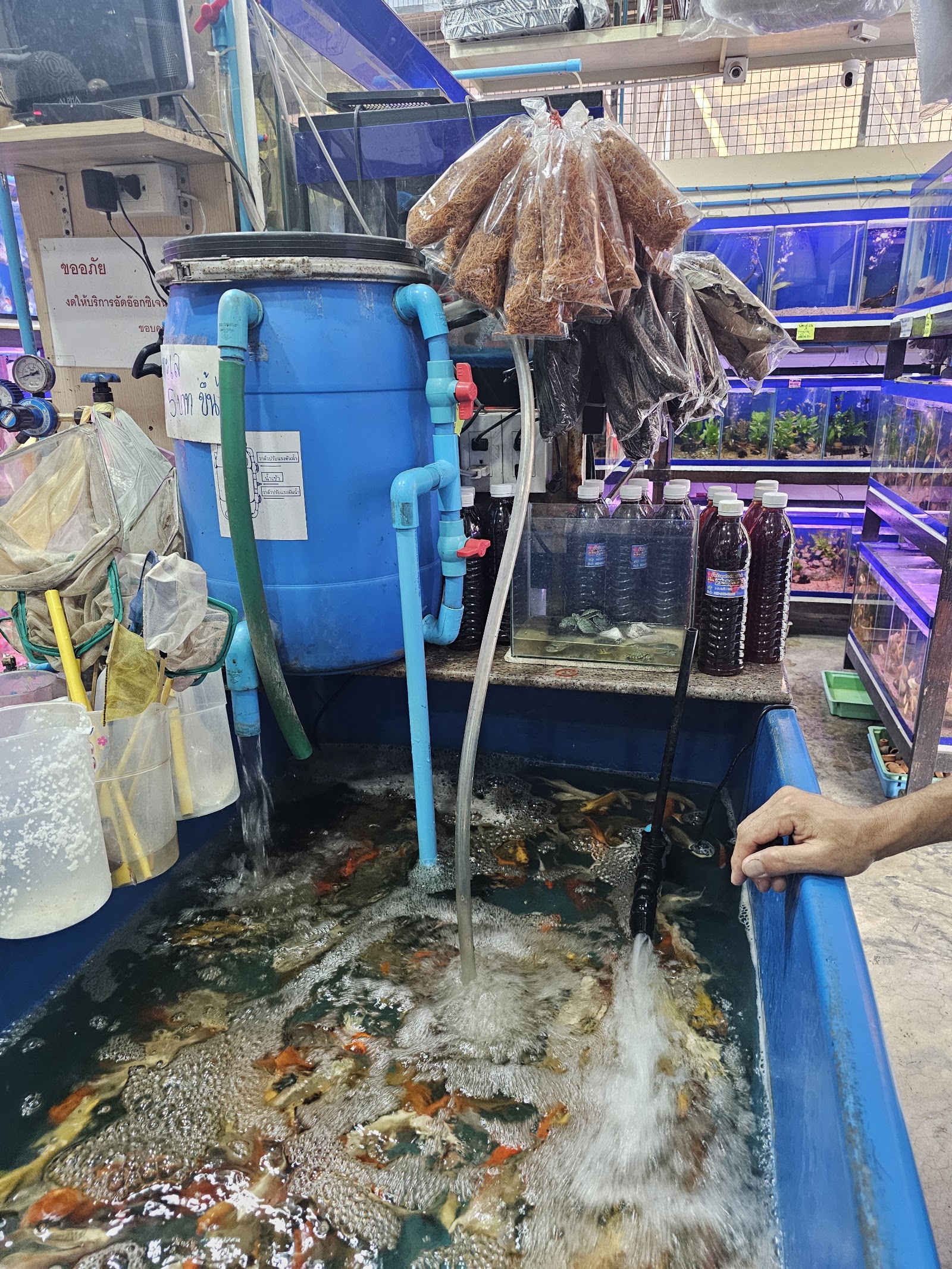 Beautiful Fish Shop Lotus Mahachai