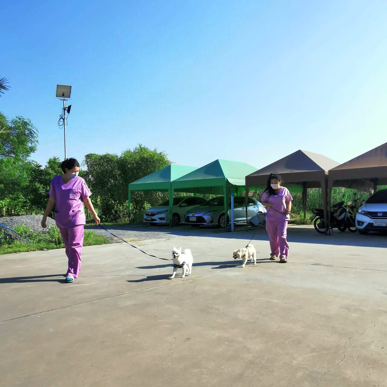i Care Animal Hospital