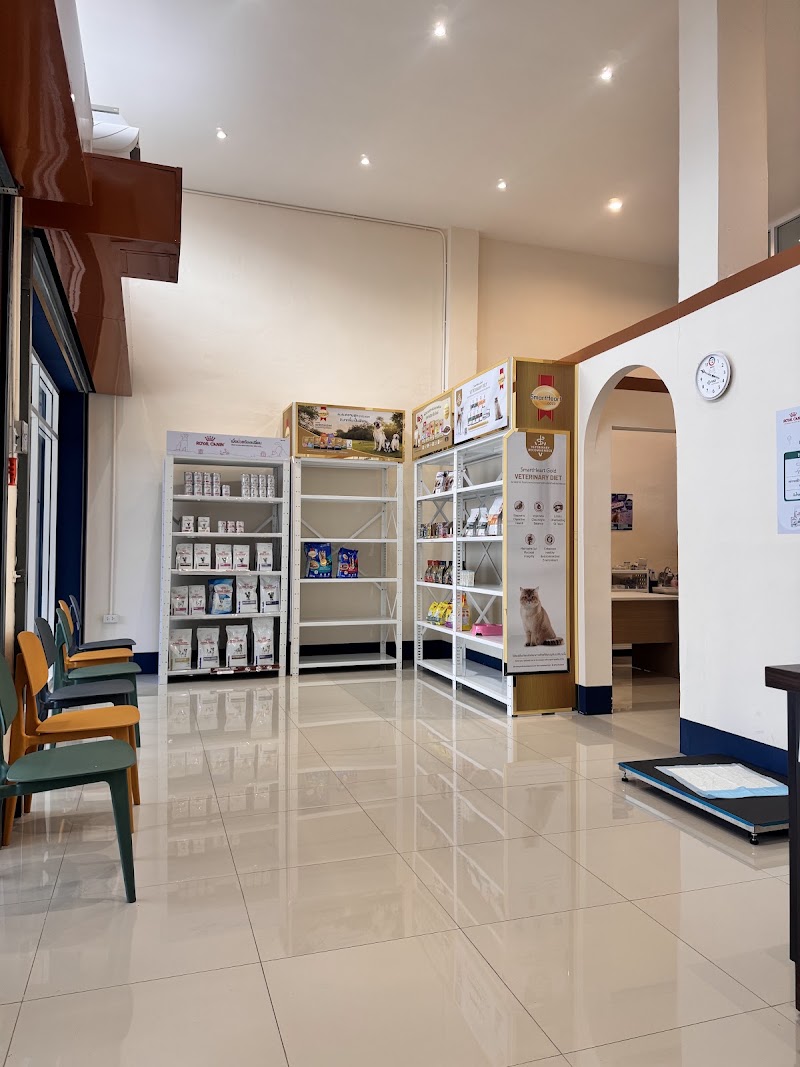 KMC animal hospital