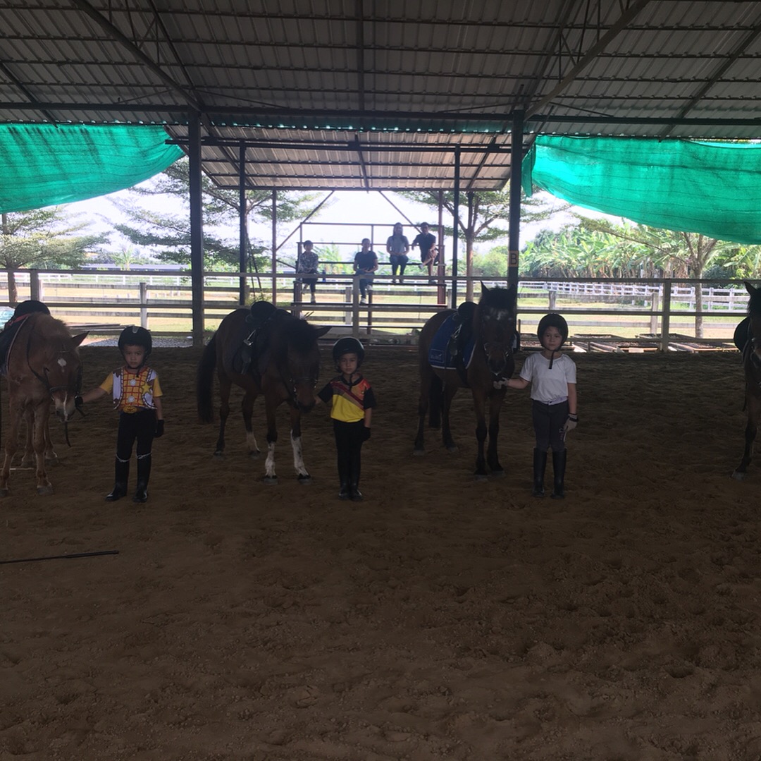 Knights Equestrian Academy
