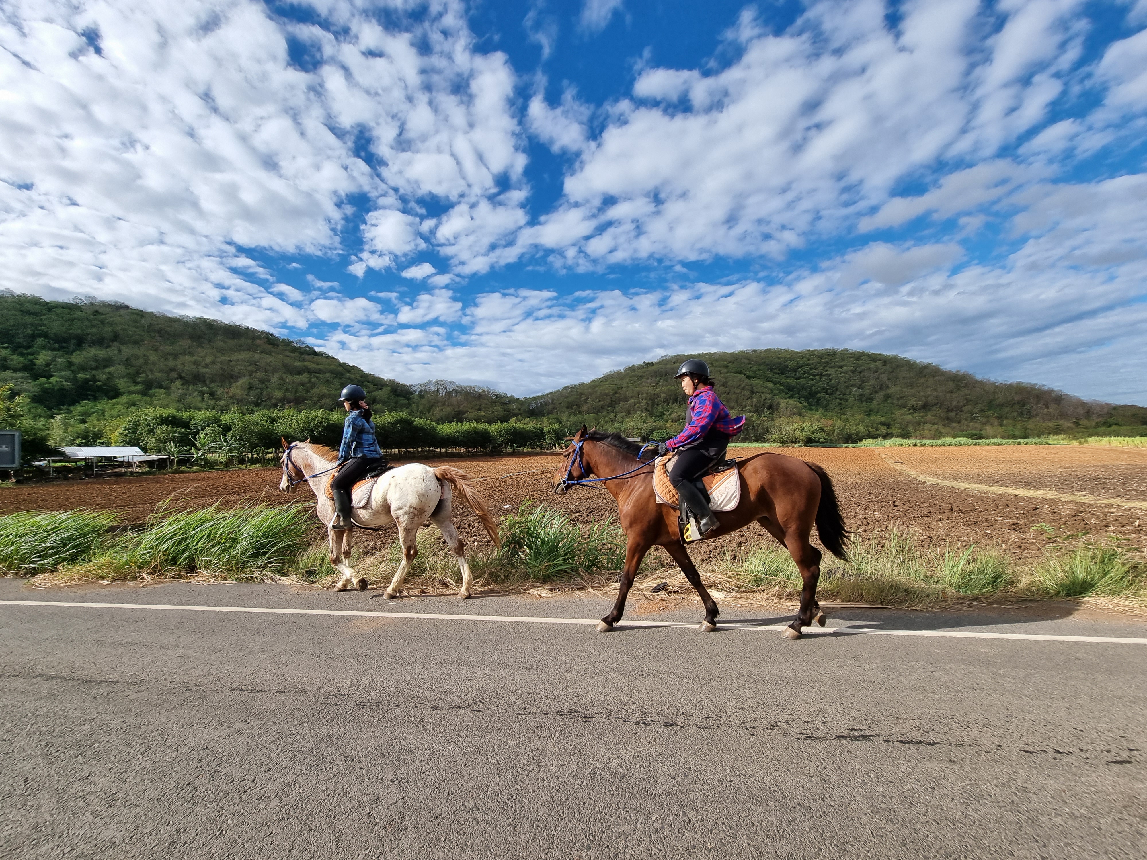 Phukodfah Ranch MCC Horse Riding
