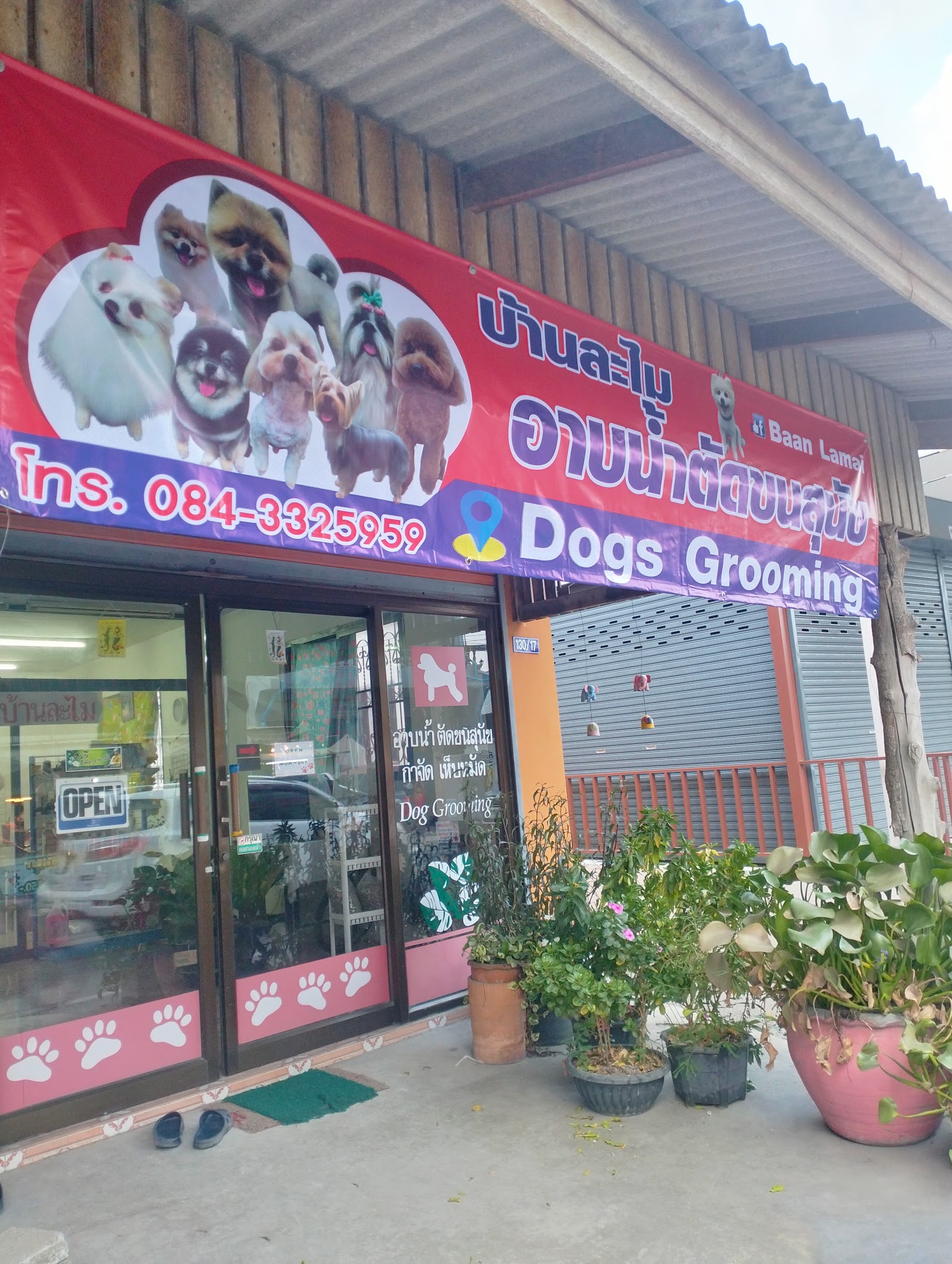 Baan Lamai Dogs Grooming