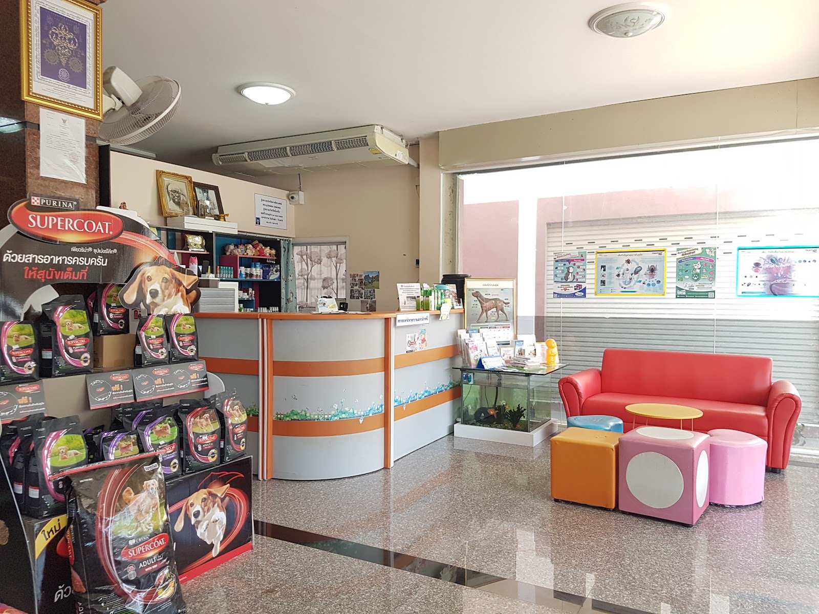 Baan Sanrak Animal Clinic - Dr Toon