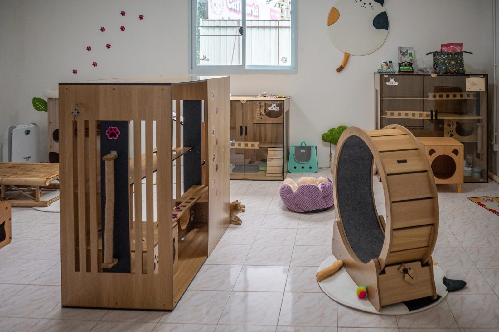 Cat Hotel by CatWorld