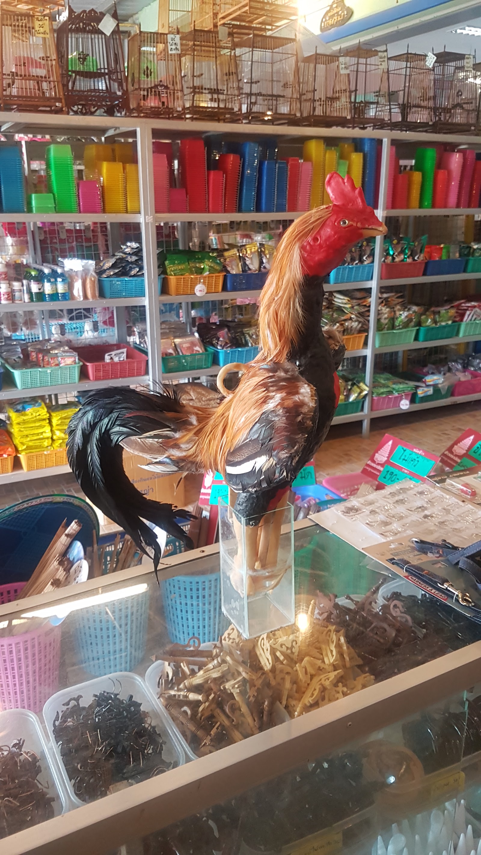 Jaruang Farm 2