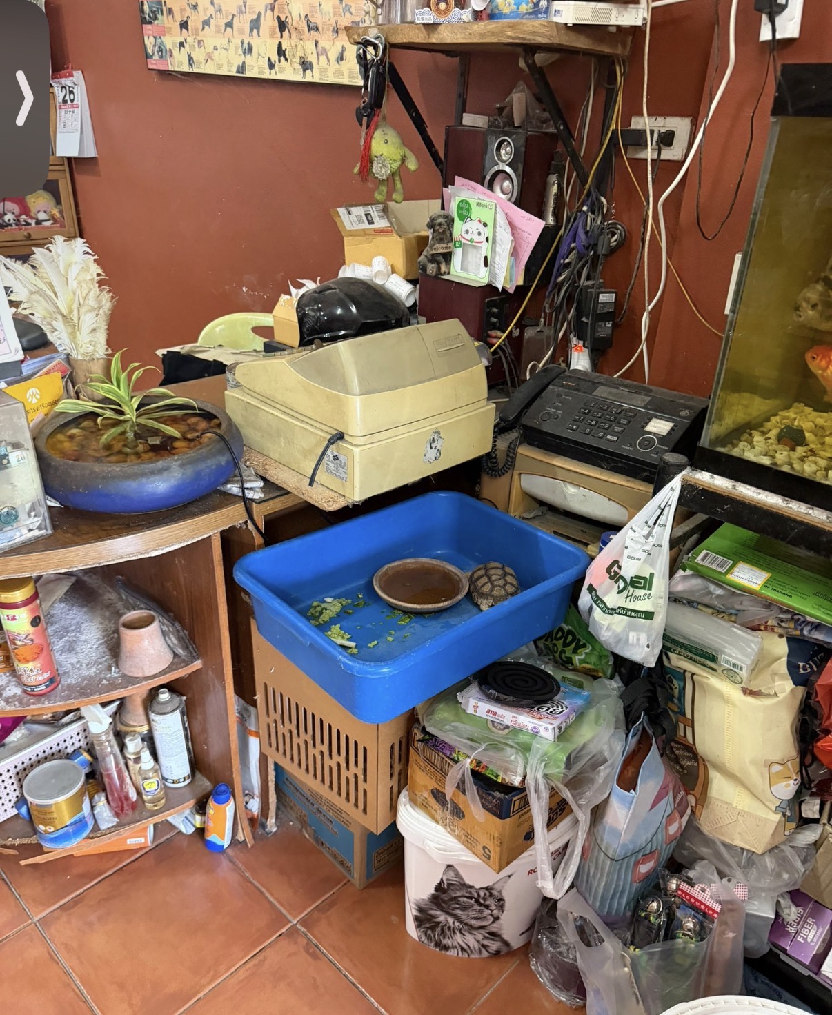 Kosin Petshop